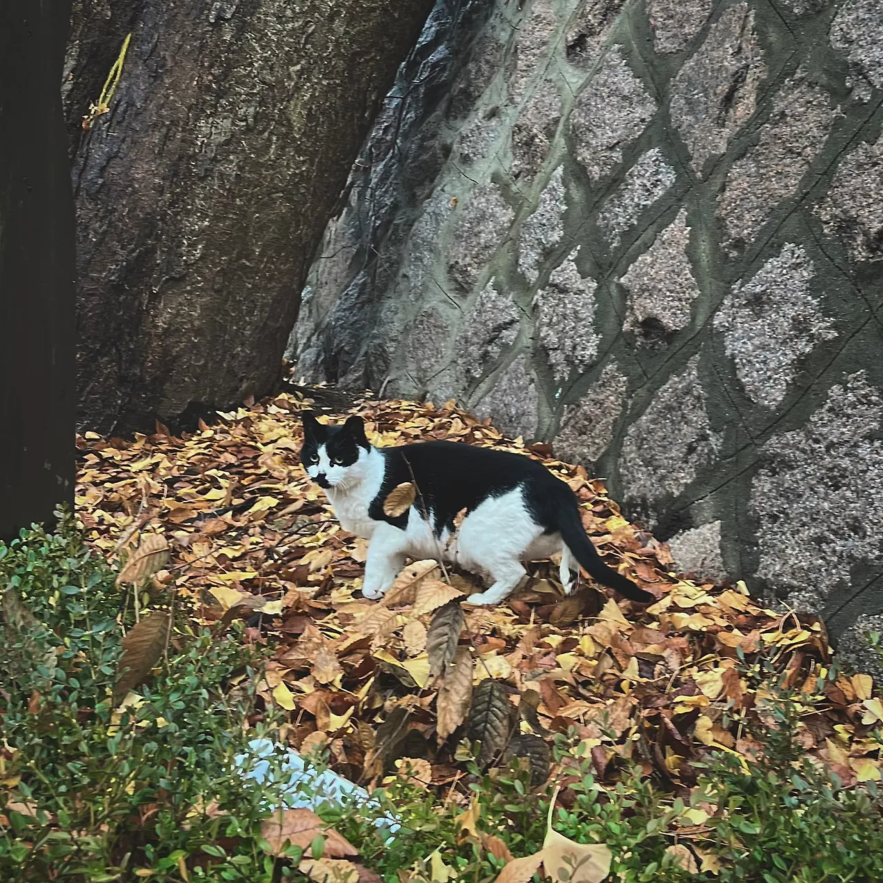 IMG%EF%BC%BF9315.jpg?type=w1600