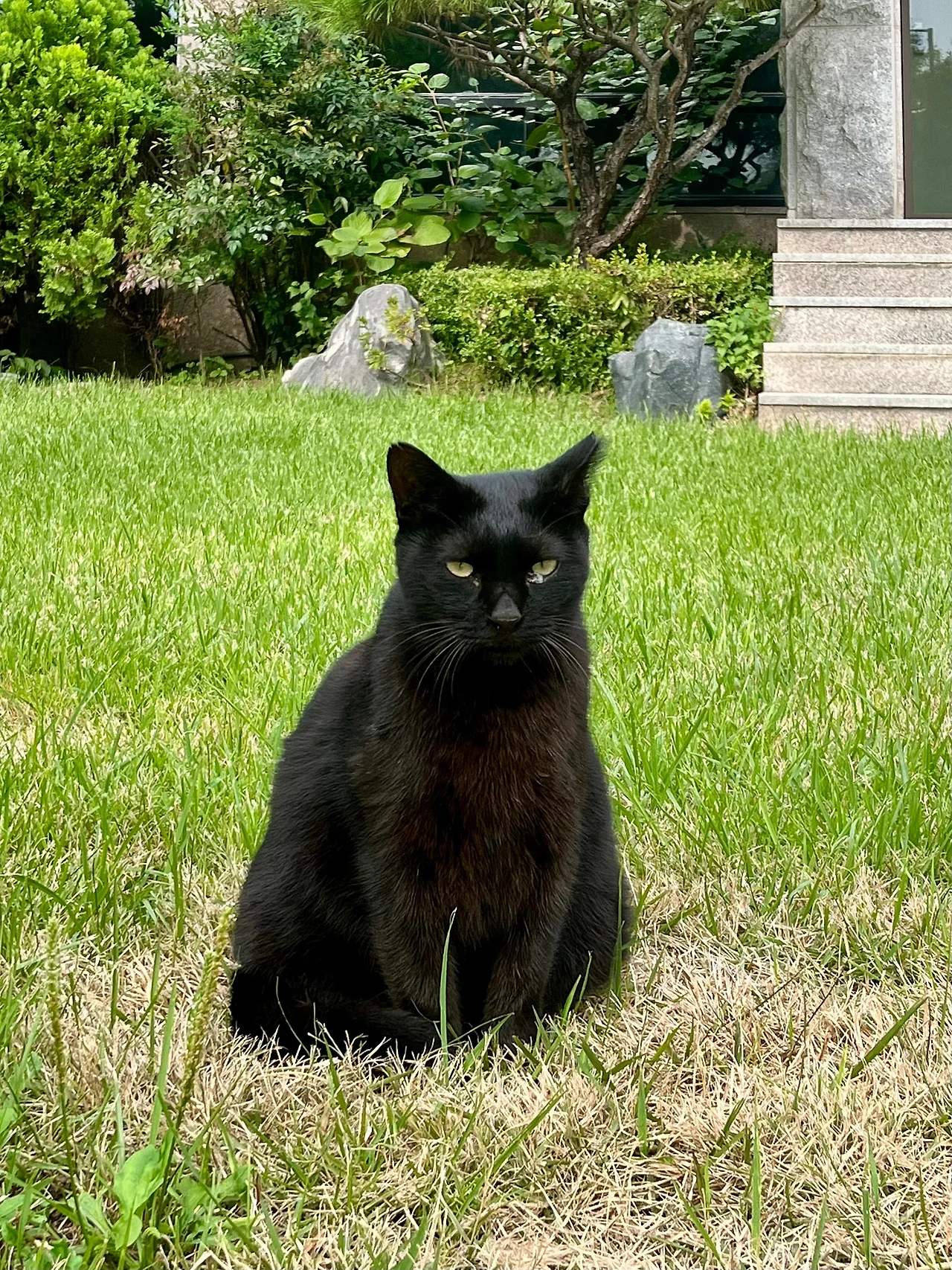 IMG%EF%BC%BF2801.jpg?type=w1600