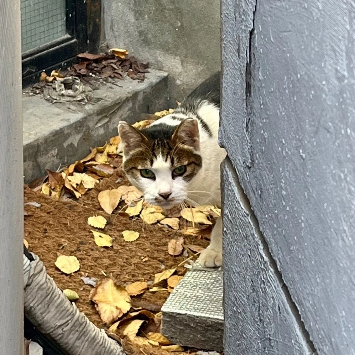 output%EF%BC%BF921452506.jpg?type=w1600