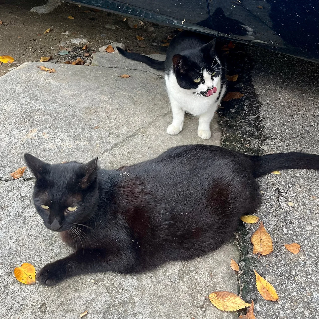 IMG%EF%BC%BF3286.jpg?type=w1600