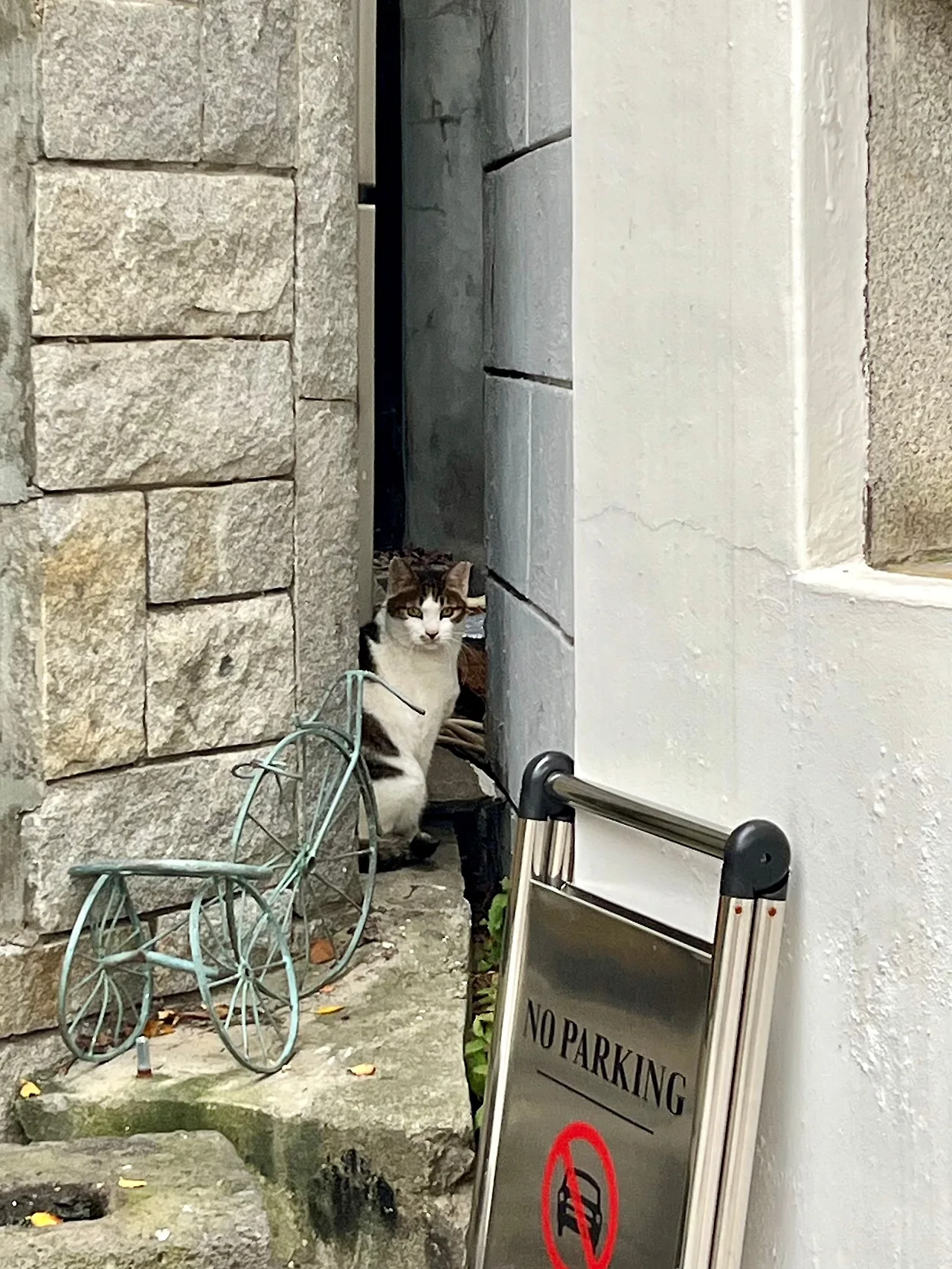 IMG%EF%BC%BF4405.jpg?type=w1600