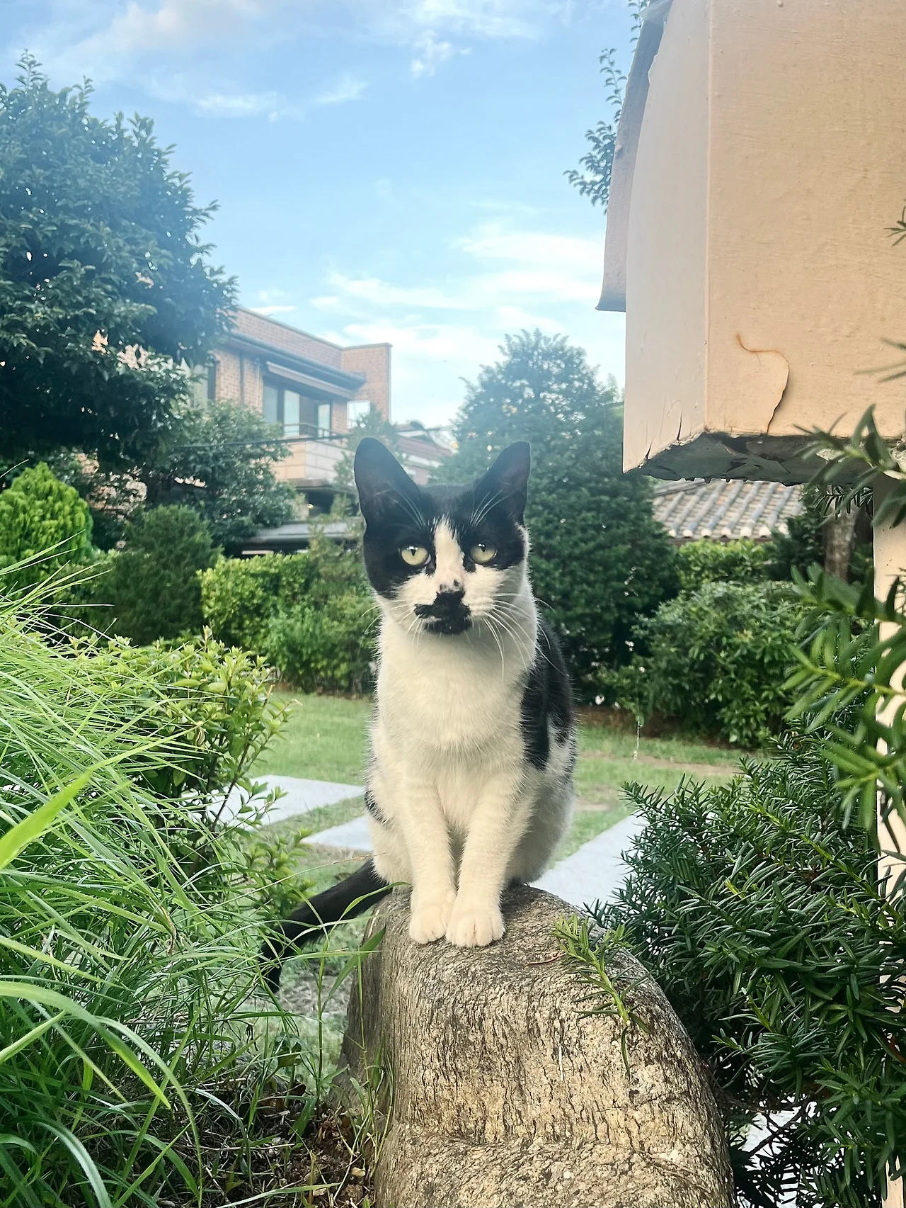 IMG%EF%BC%BF8744.jpg?type=w1600