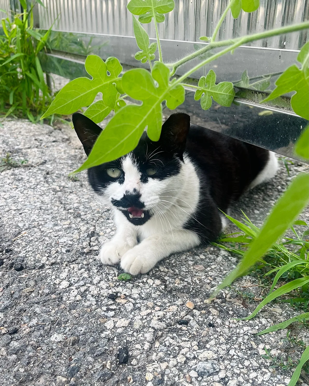 IMG%EF%BC%BF7045.jpg?type=w1600