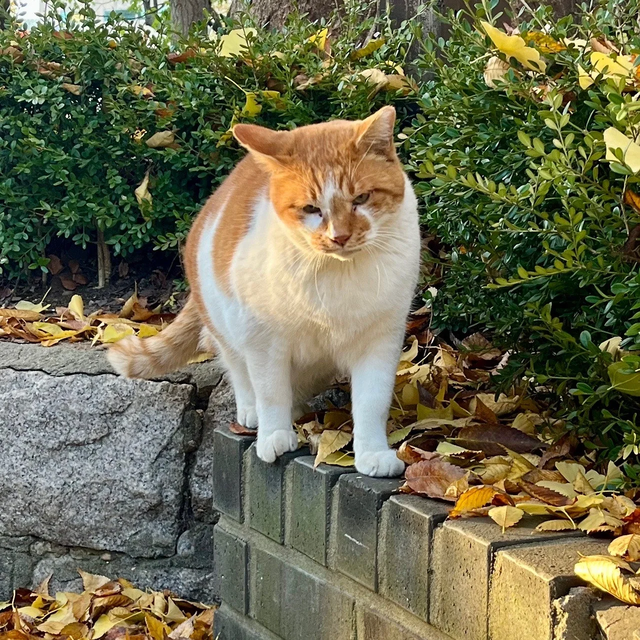 output%EF%BC%BF1791097668.jpg?type=w1600