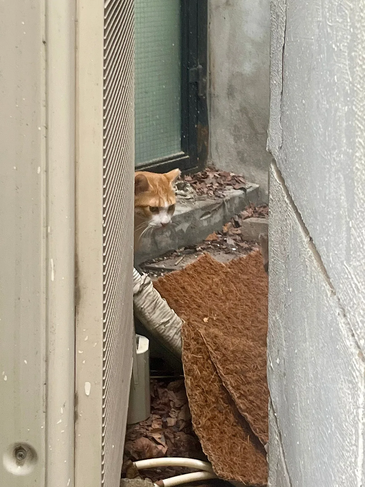 IMG%EF%BC%BF2246.jpg?type=w1600