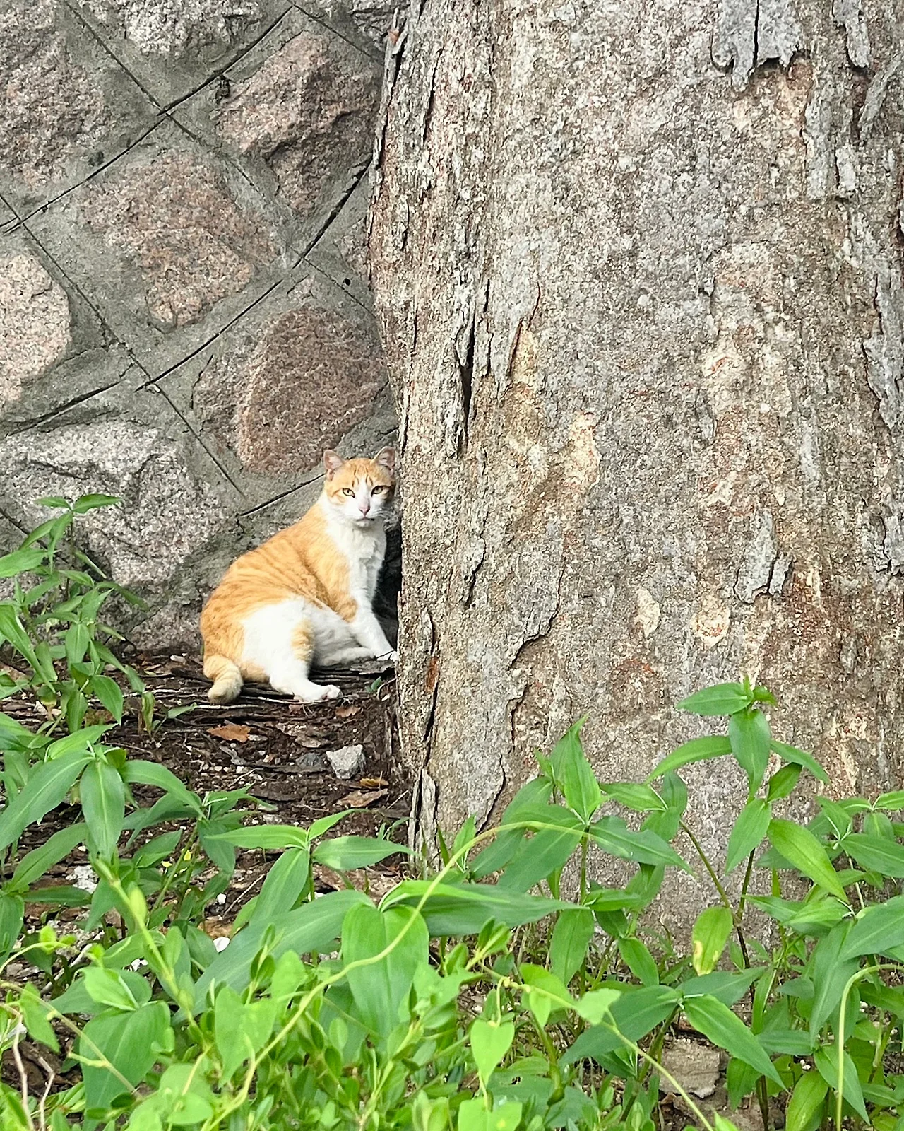 IMG%EF%BC%BF7134.jpg?type=w1600