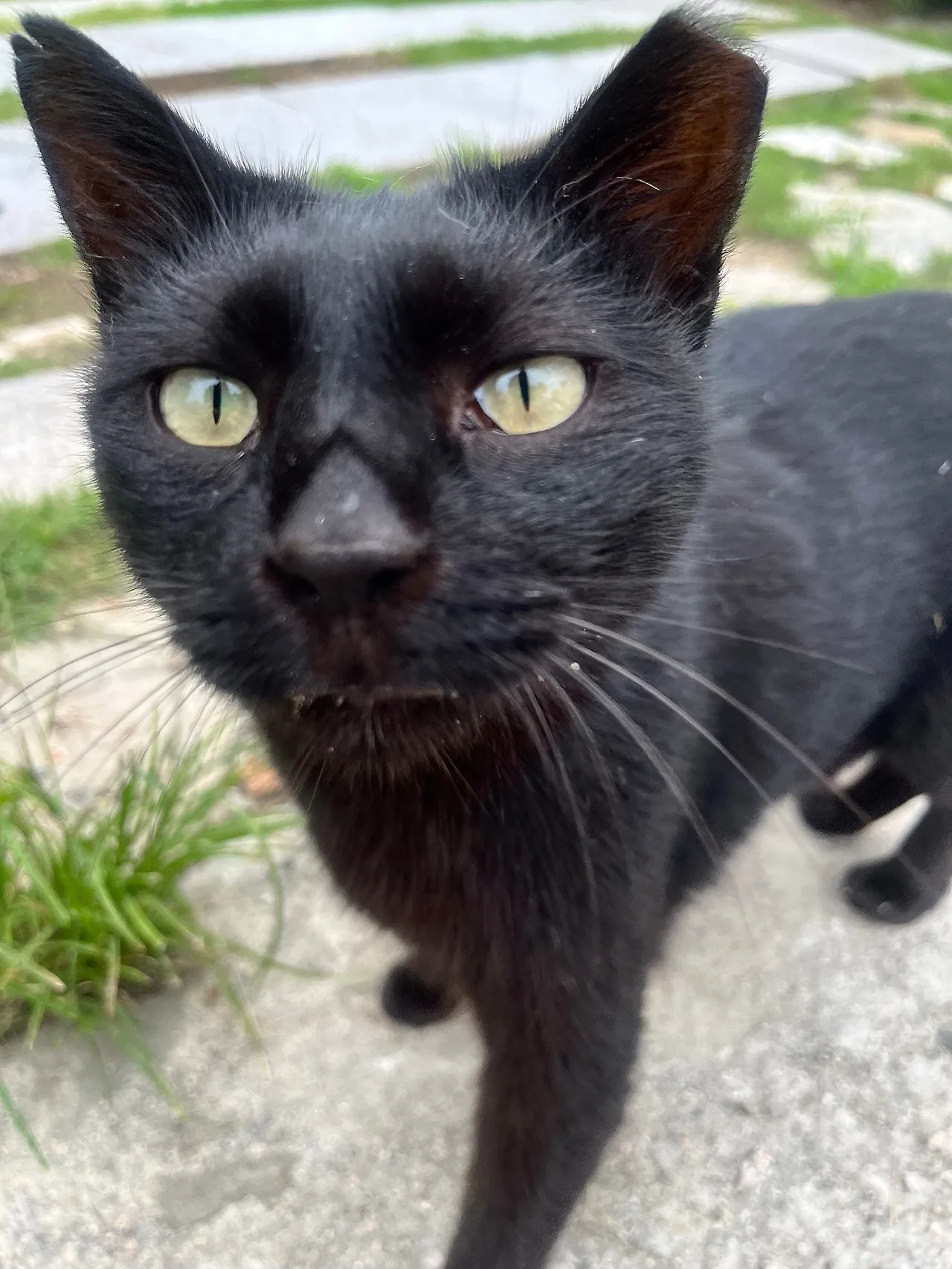 IMG%EF%BC%BF9920.jpg?type=w1600