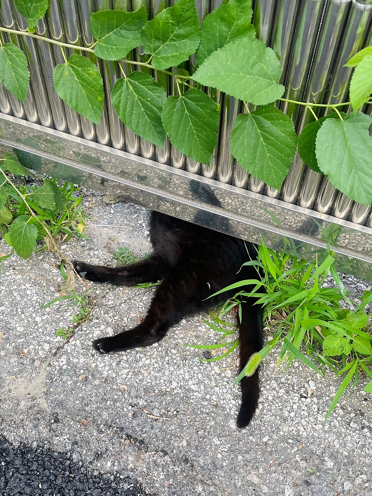 IMG%EF%BC%BF7051.jpg?type=w1600