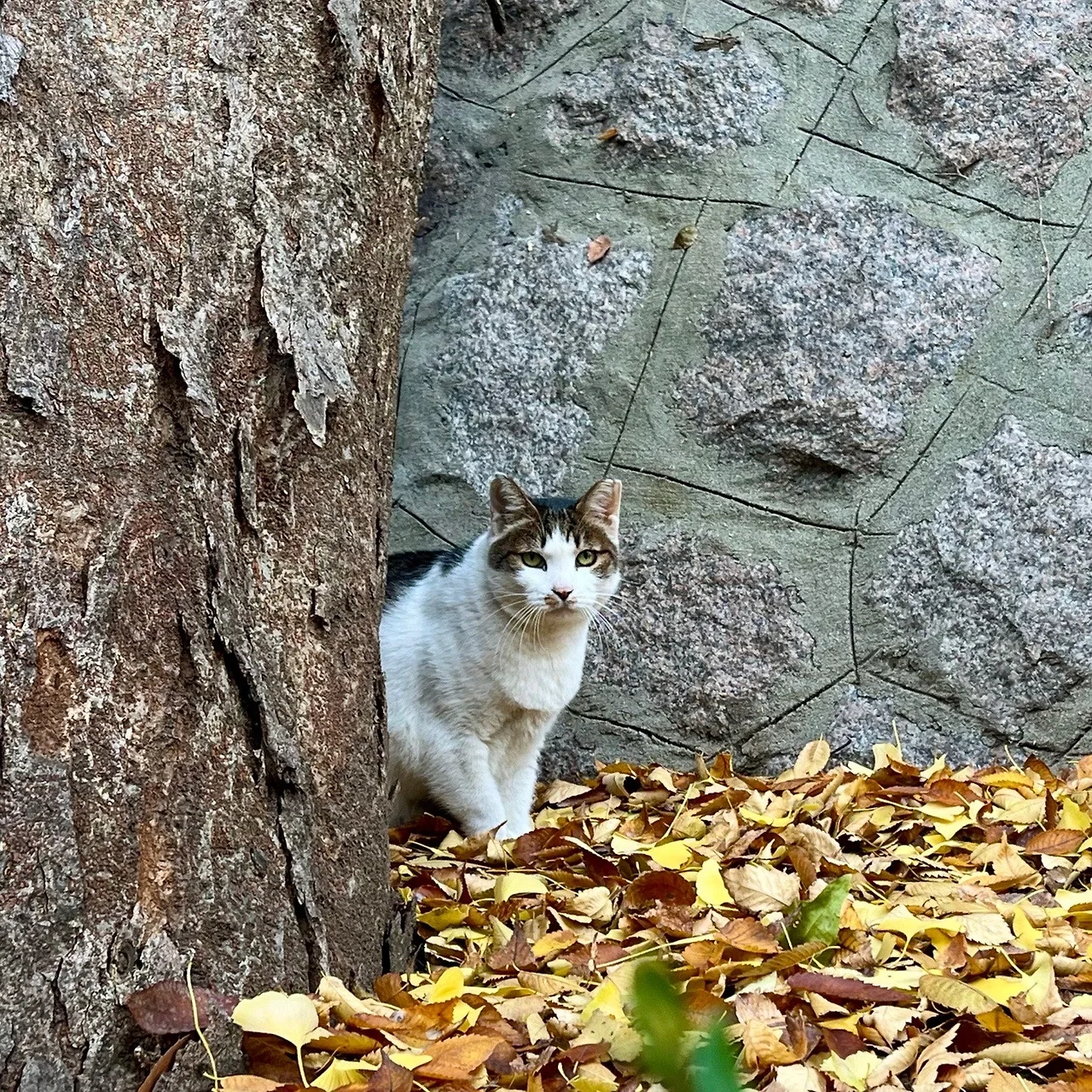 output%EF%BC%BF453027953.jpg?type=w1600