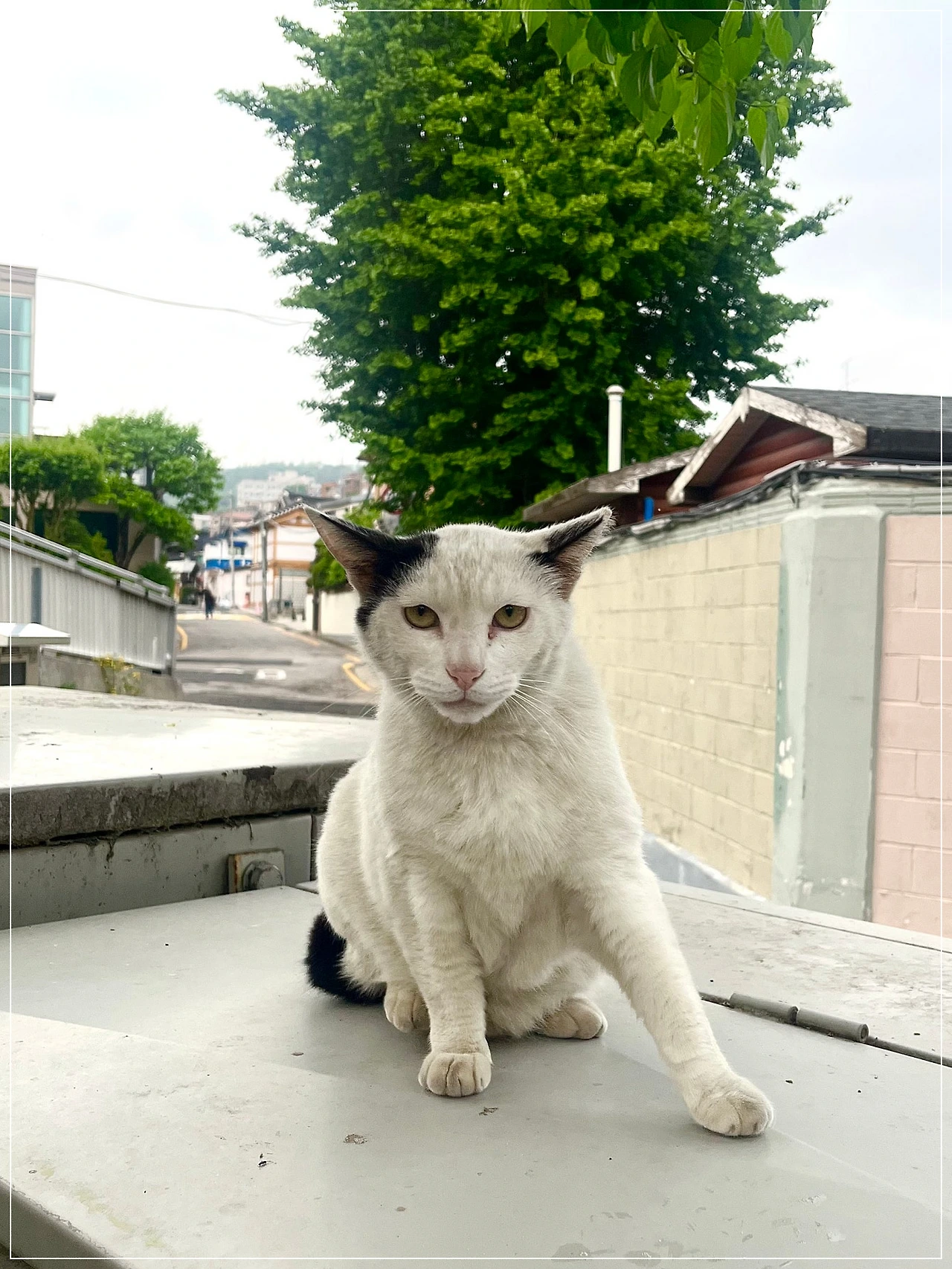 IMG_4166.jpg?type=w1600