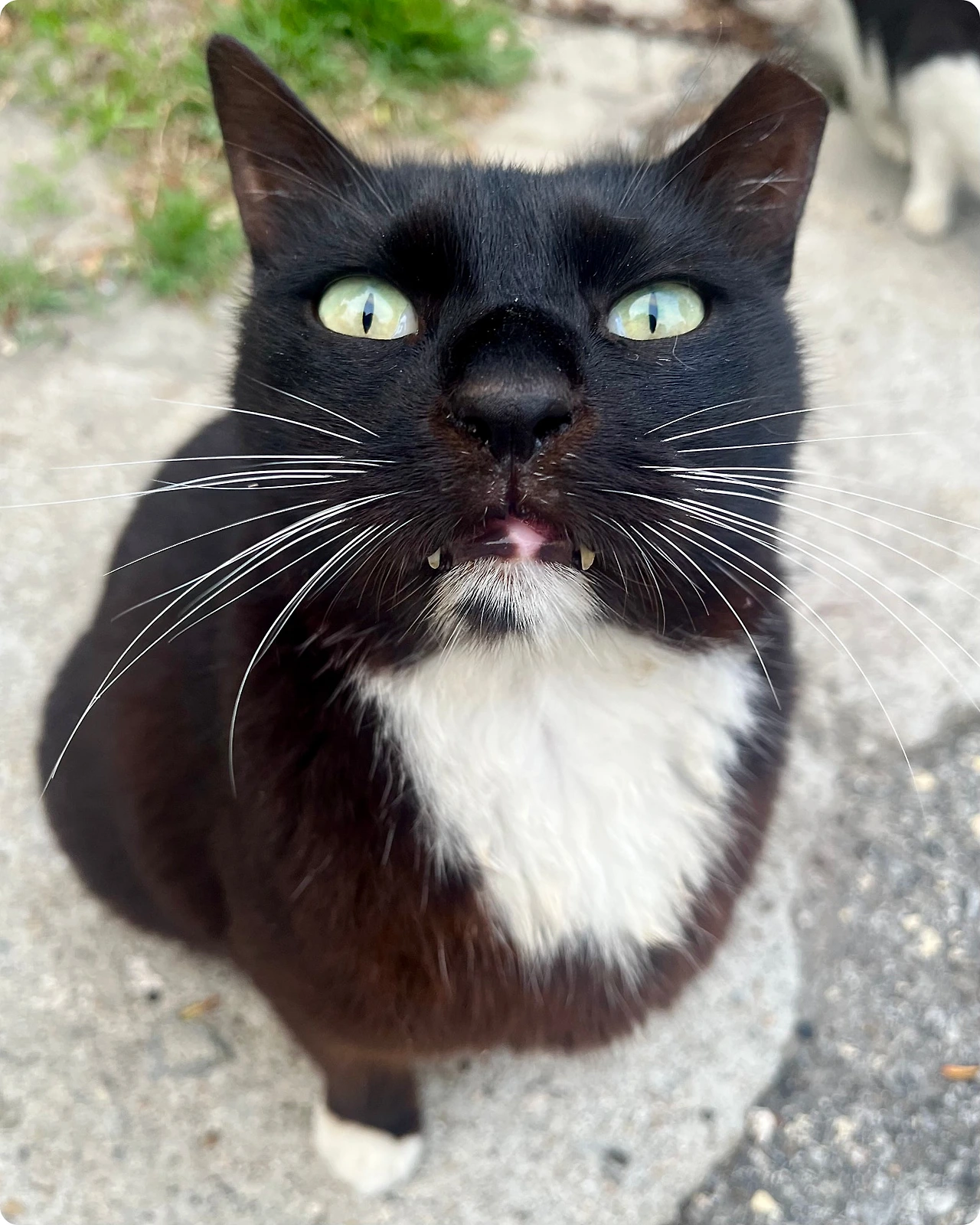 IMG_4464.jpg?type=w1600