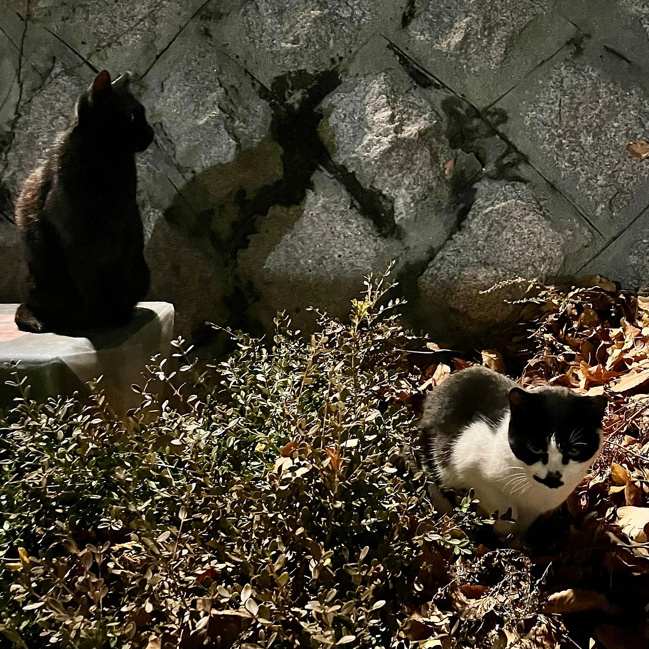 IMG%EF%BC%BF9796.jpg?type=w1600