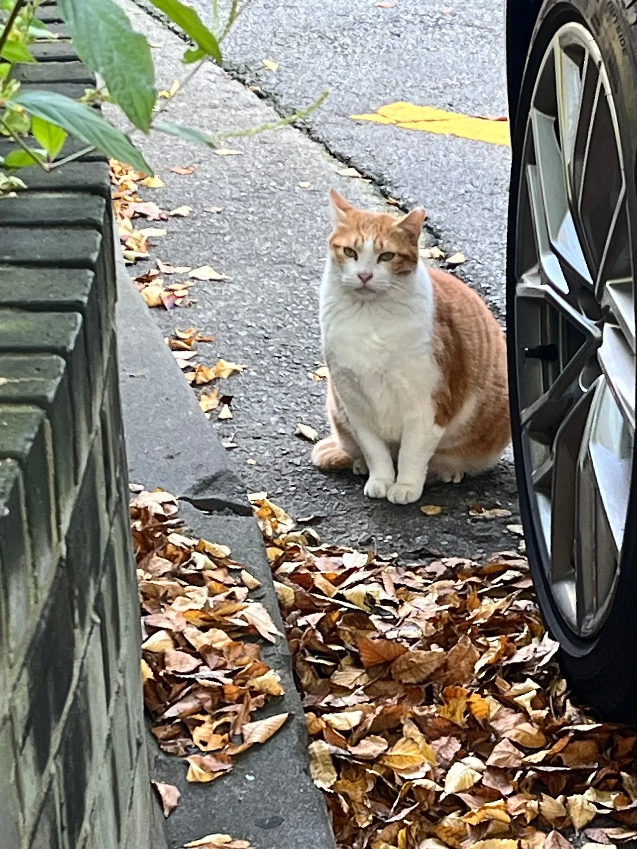 IMG%EF%BC%BF3433.jpg?type=w1600