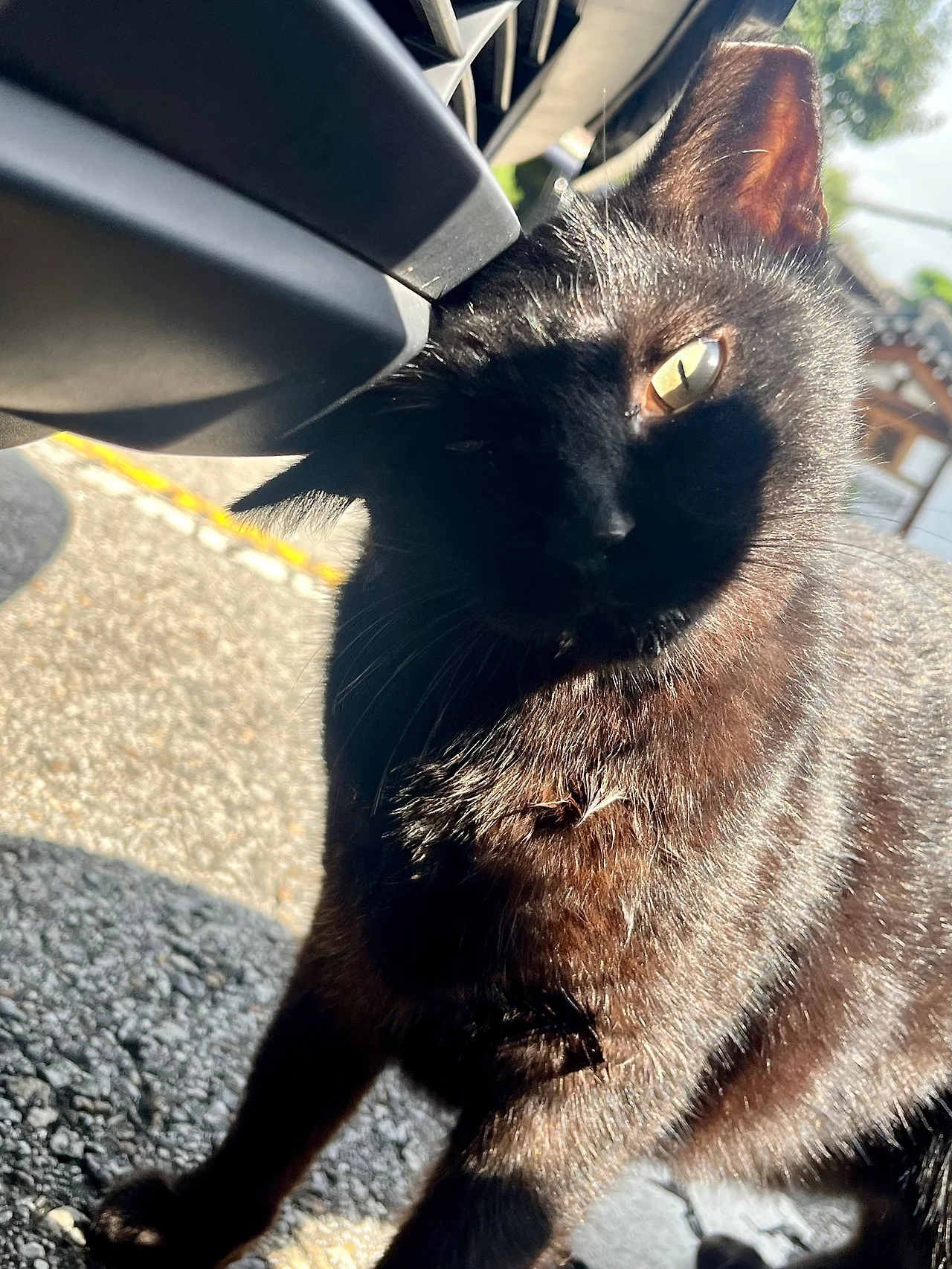 IMG%EF%BC%BF1555.jpg?type=w1600