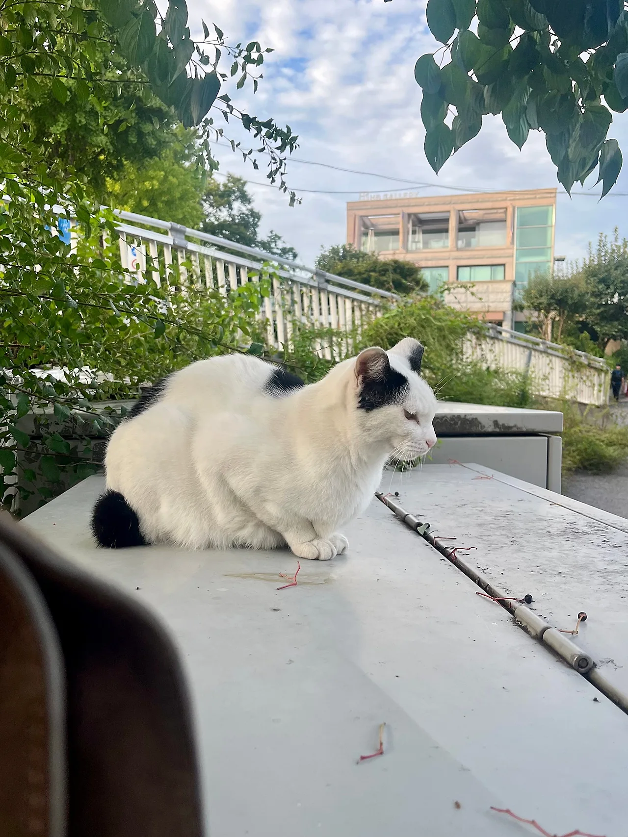 IMG%EF%BC%BF1890.jpg?type=w1600