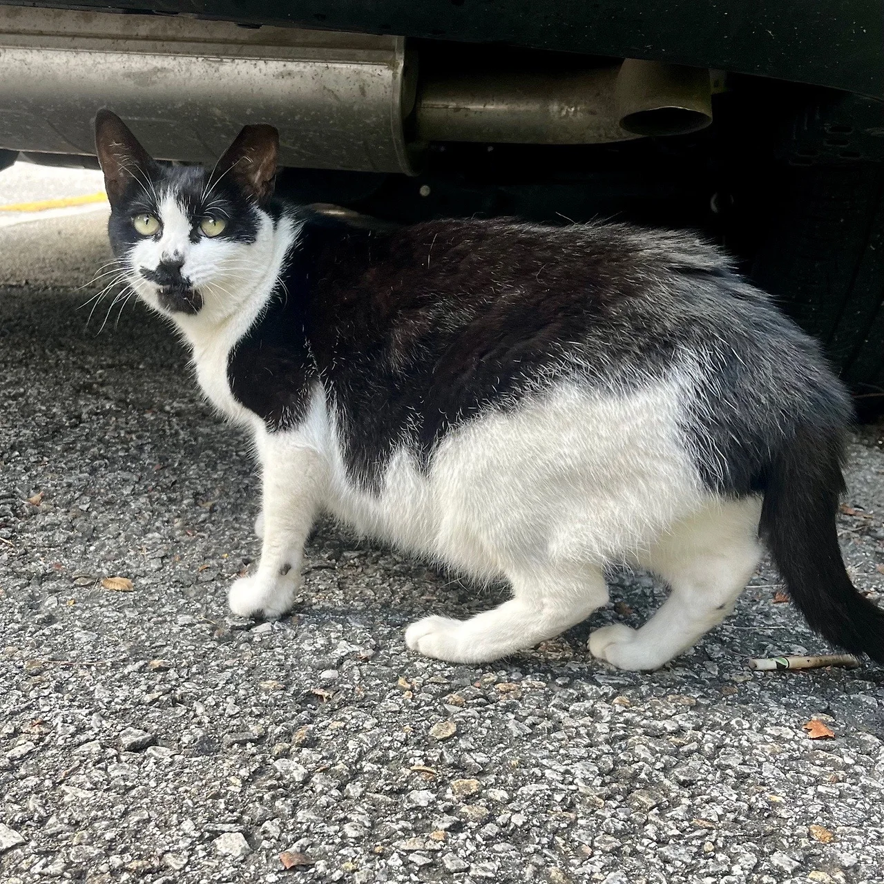 output%EF%BC%BF4032482740.jpg?type=w1600