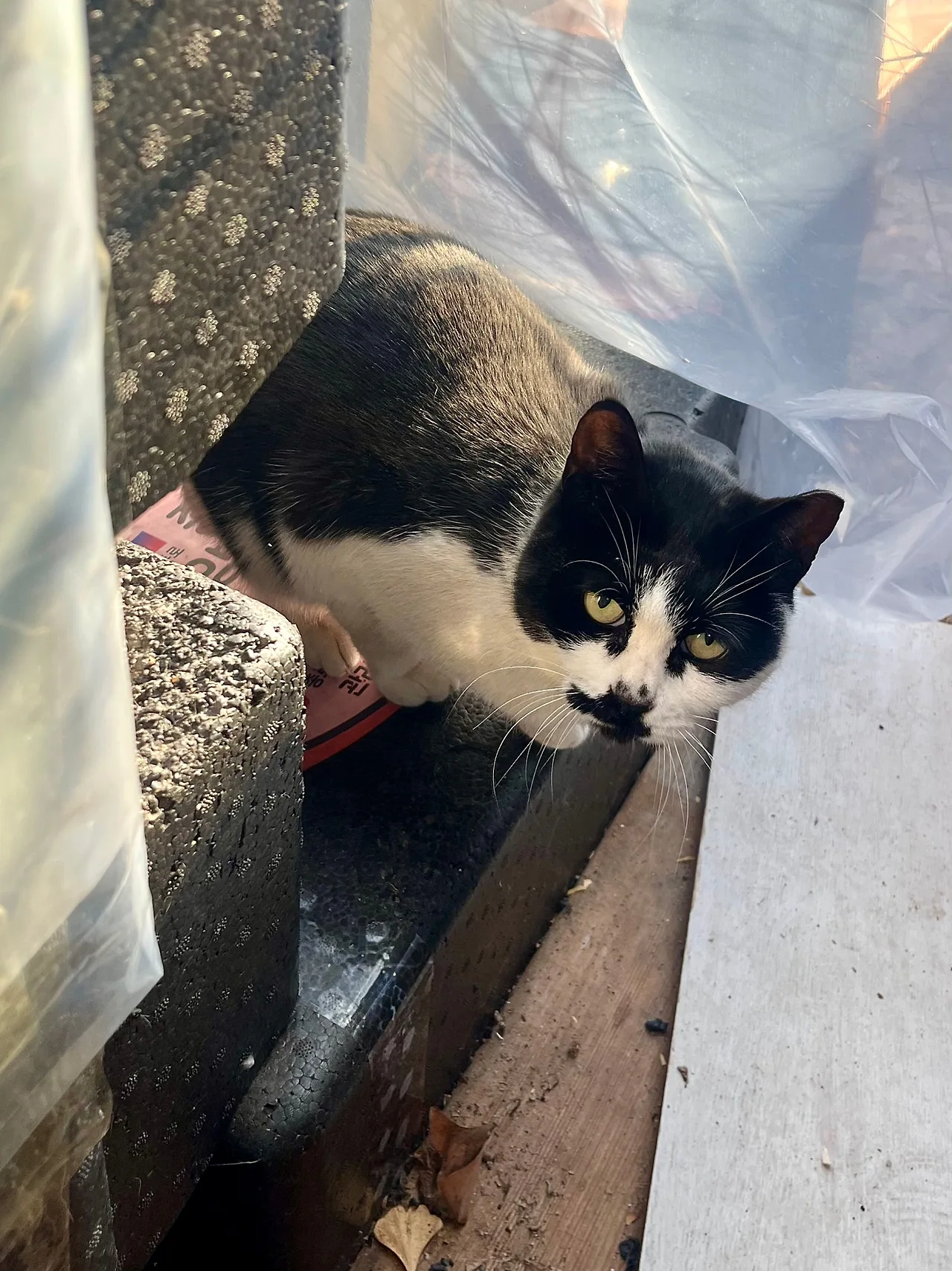 IMG%EF%BC%BF0943.jpg?type=w1600