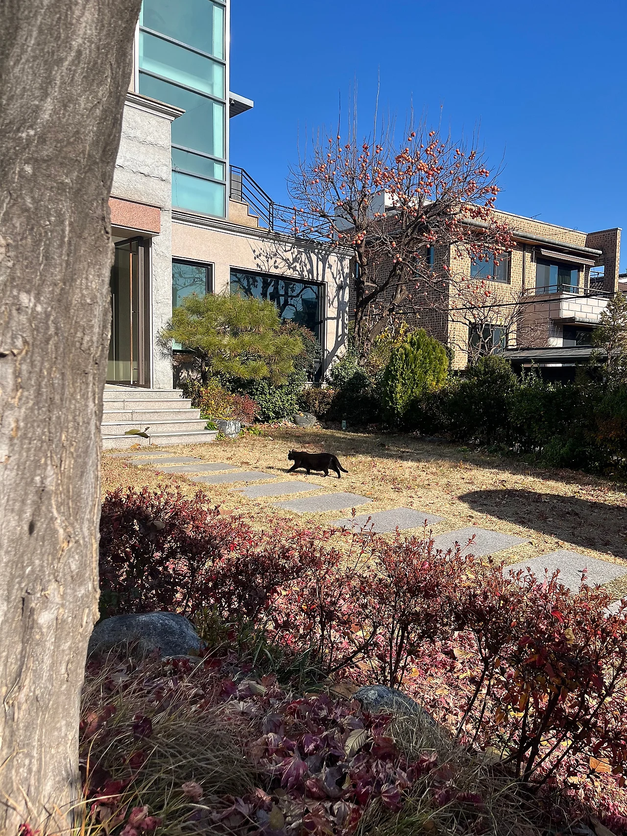 IMG%EF%BC%BF8506.jpg?type=w1600