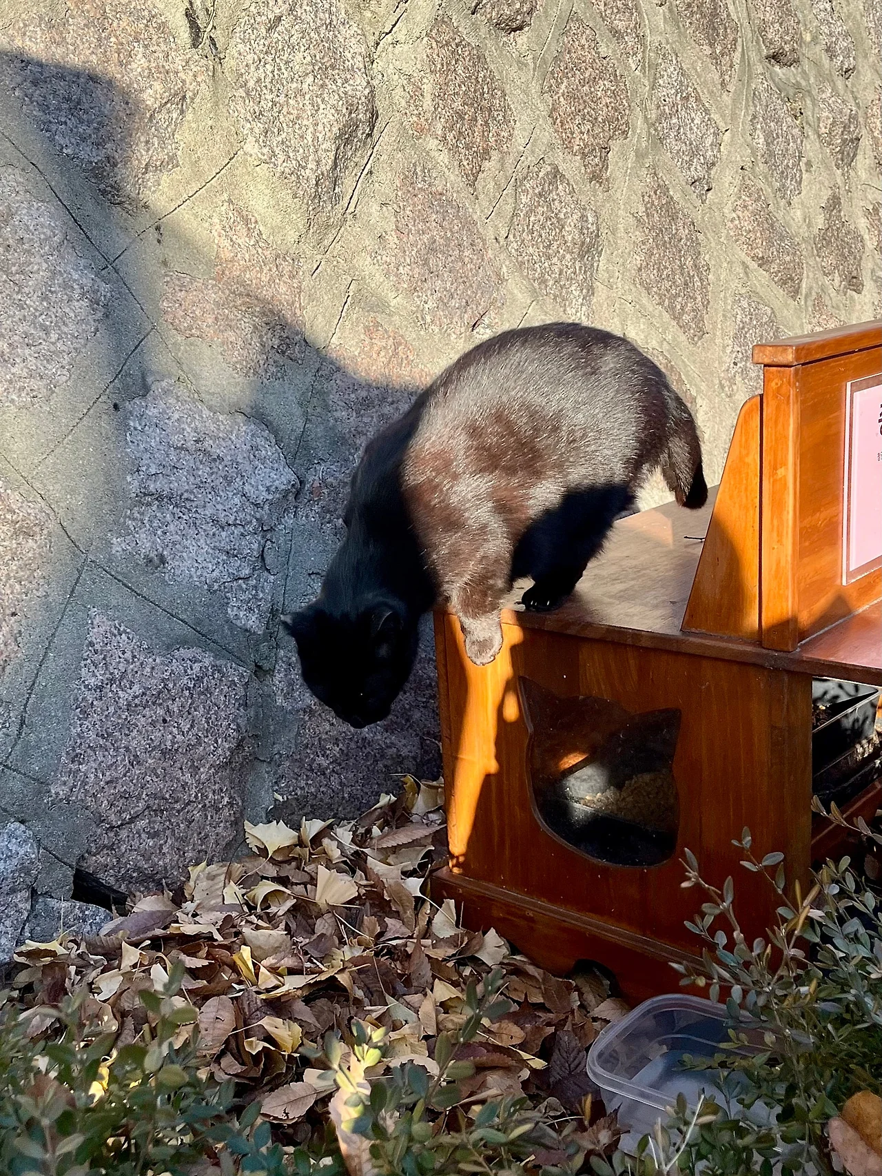 IMG%EF%BC%BF8762.jpg?type=w1600