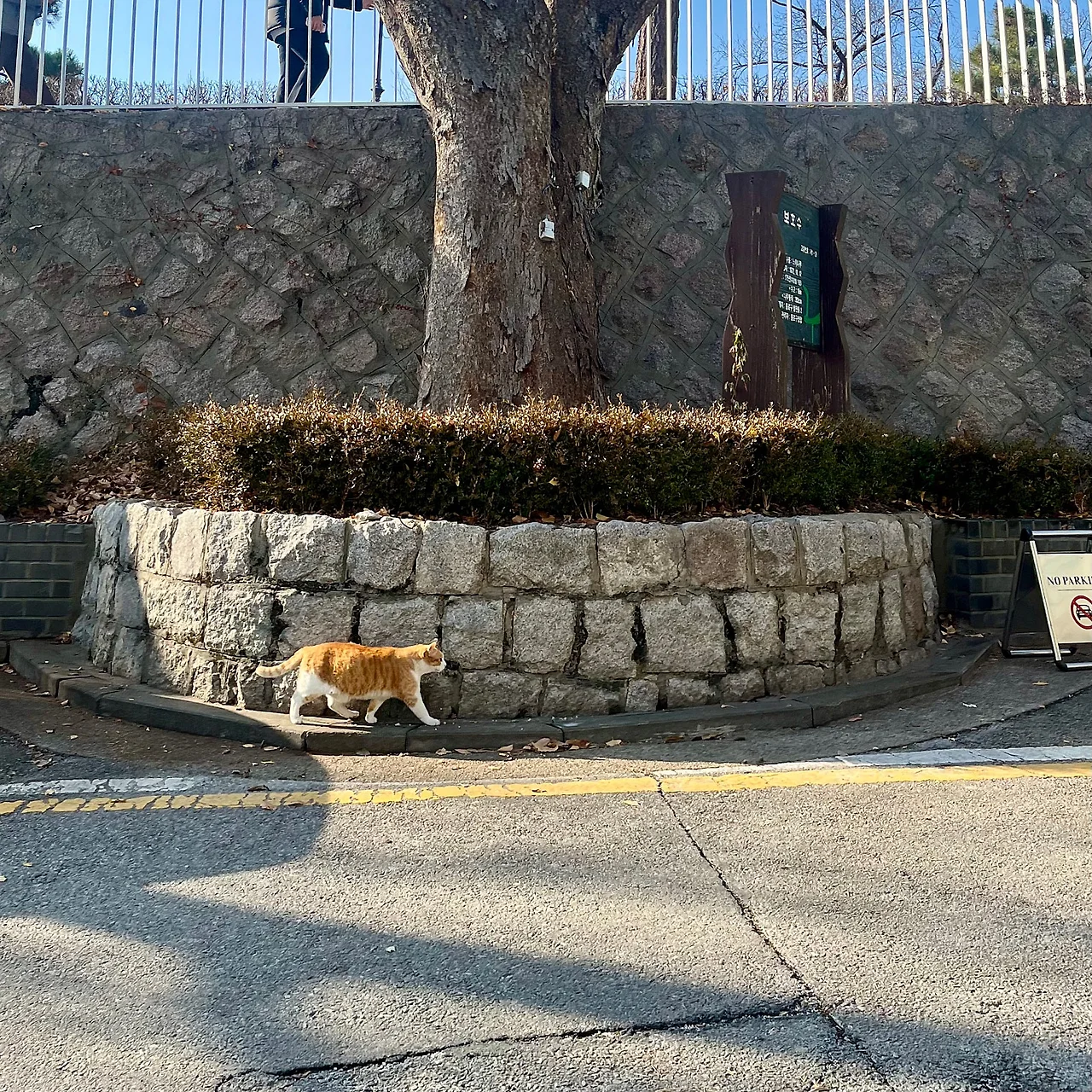 IMG%EF%BC%BF8959.jpg?type=w1600