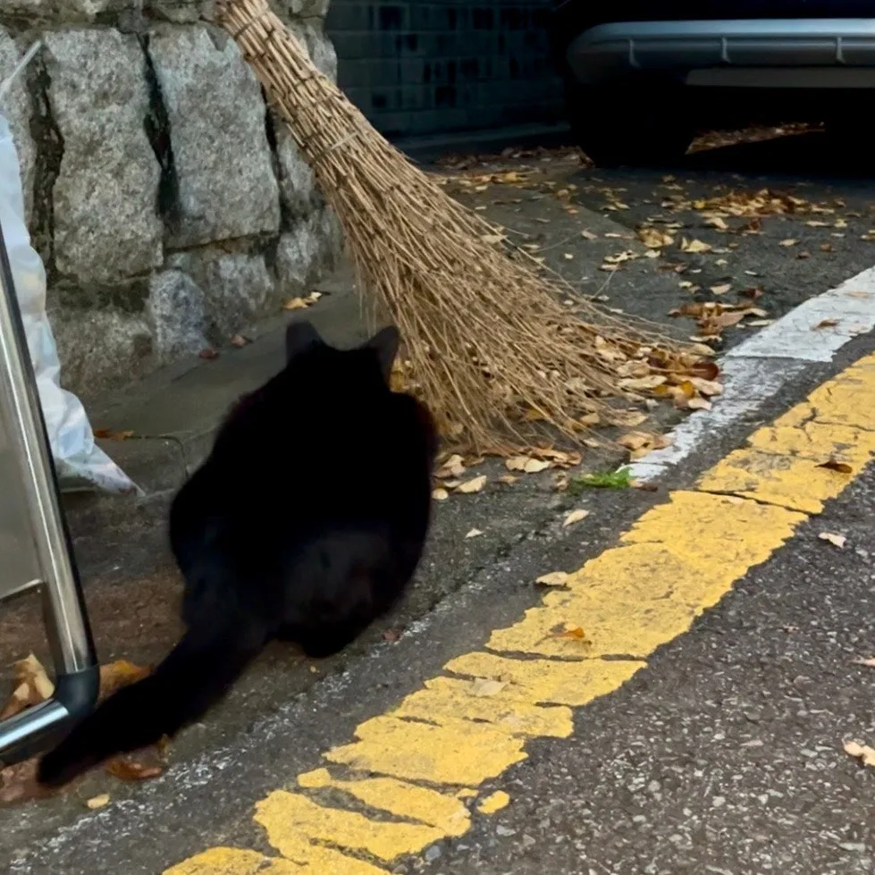 IMG%EF%BC%BF3541.jpg?type=w1600