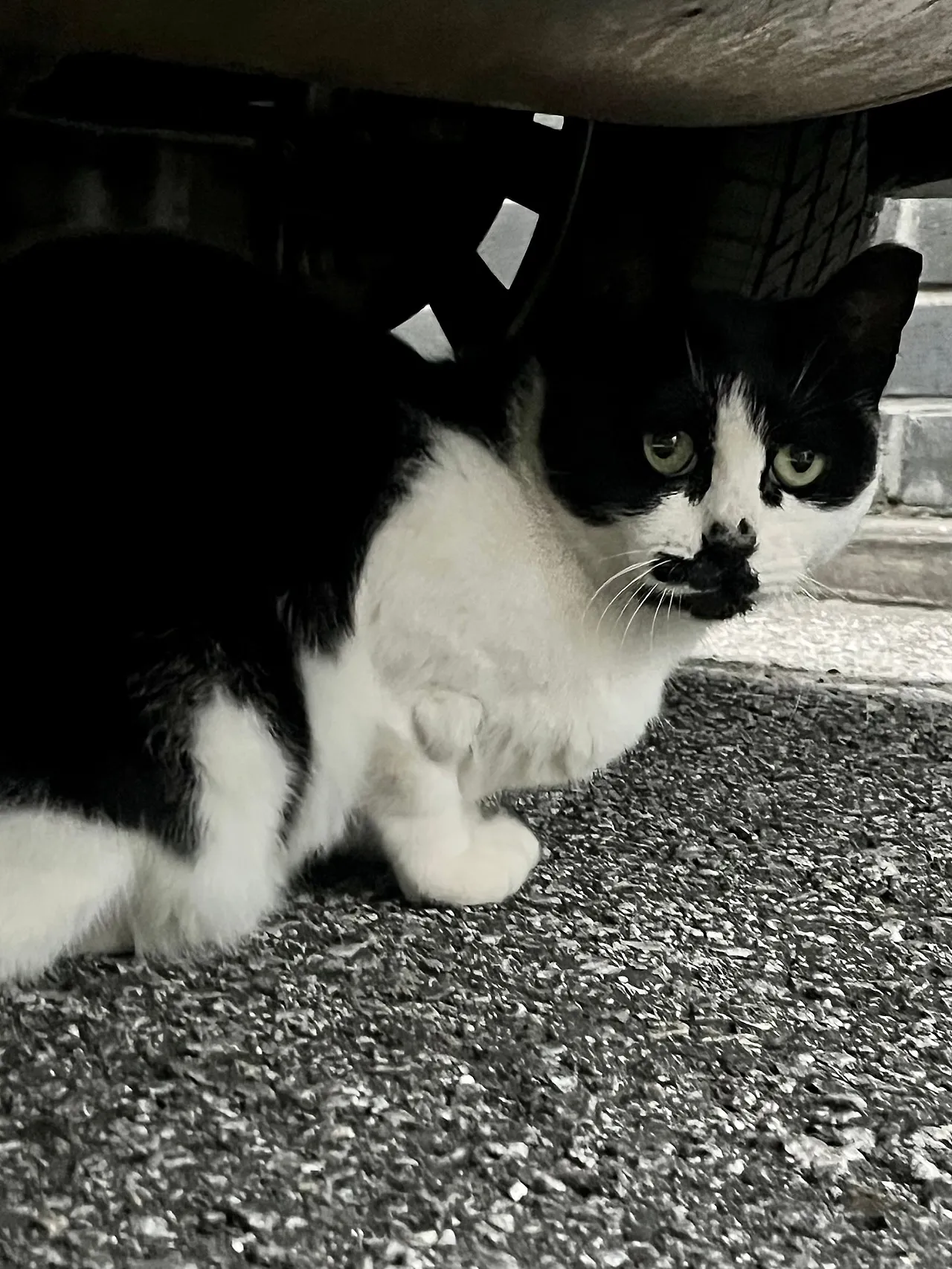 IMG%EF%BC%BF3321.jpg?type=w1600