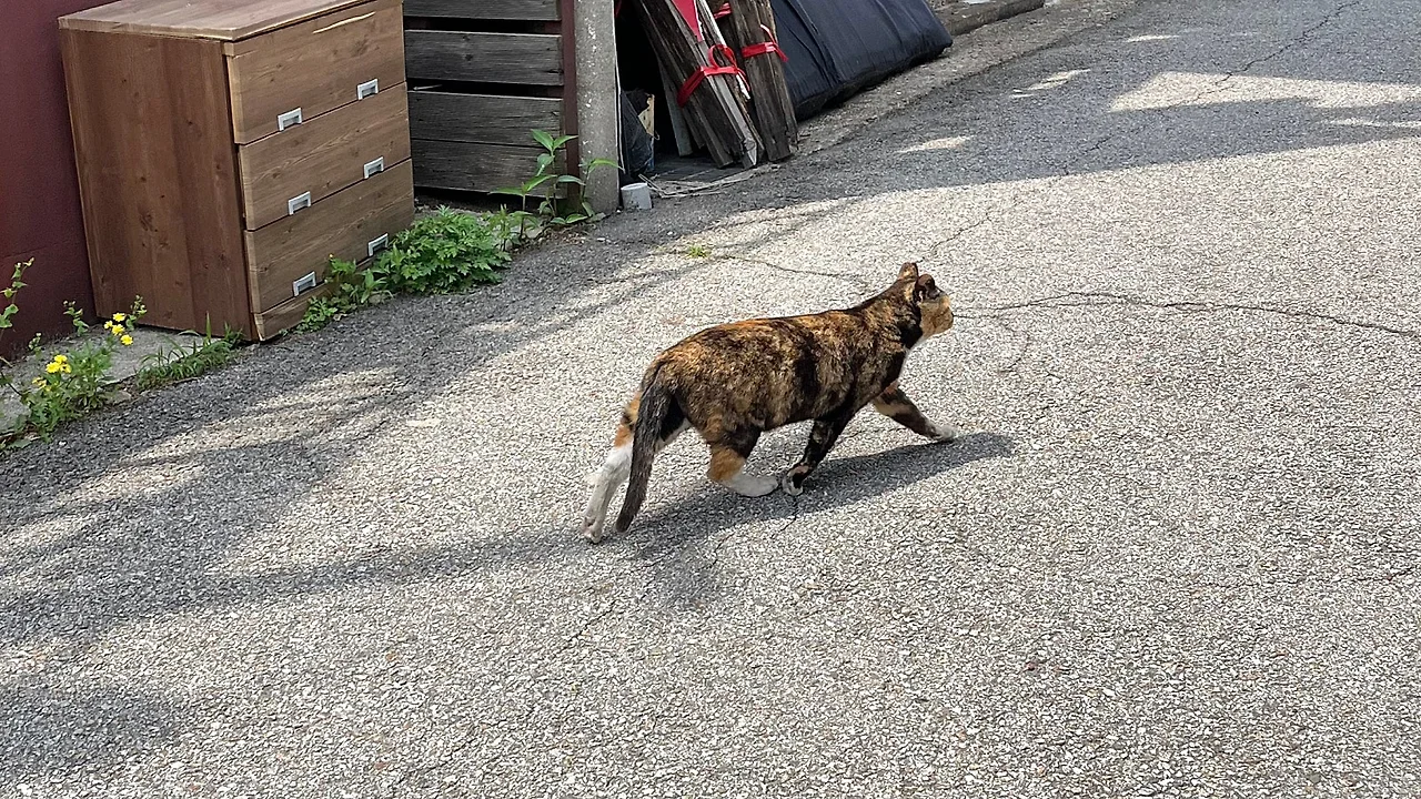 IMG%EF%BC%BF4088.jpg?type=w1600