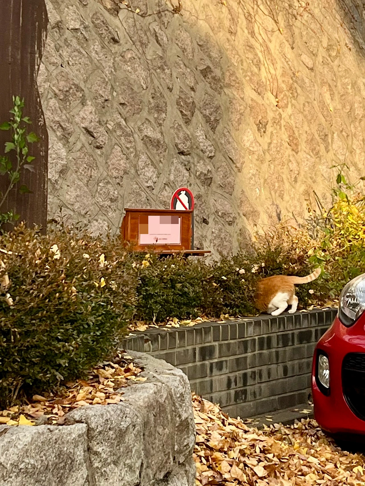 IMG%EF%BC%BF5565.jpg?type=w1600