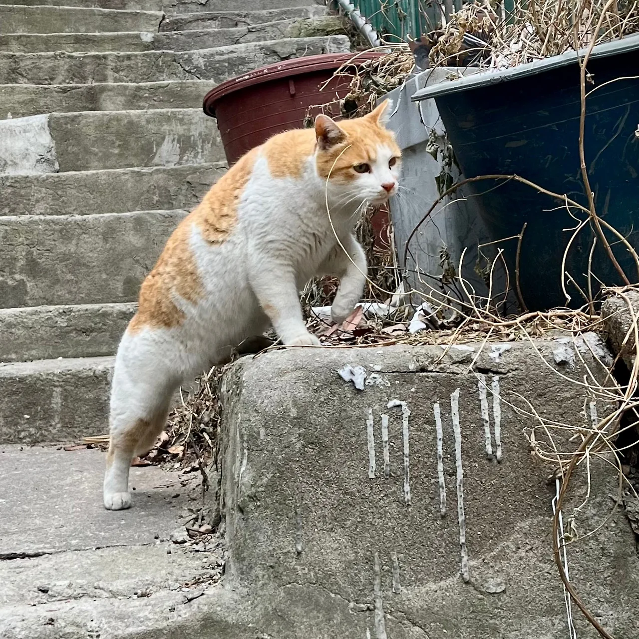 SE-AD37B879-DFB6-4557-A26D-120281353FBF.jpg?type=w1600