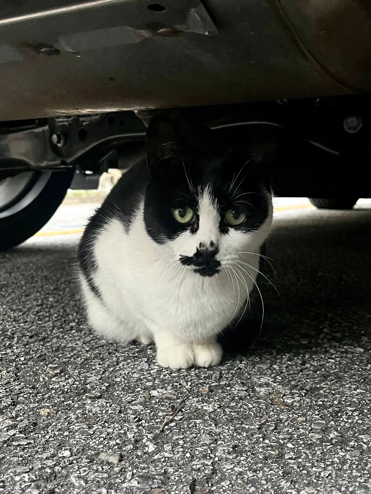 IMG%EF%BC%BF3309.jpg?type=w1600