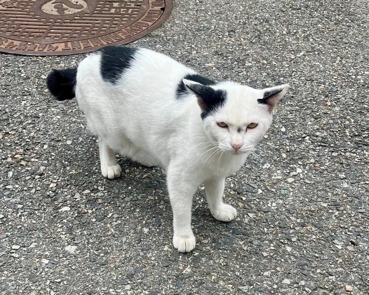 output%EF%BC%BF3876422128.jpg?type=w1600