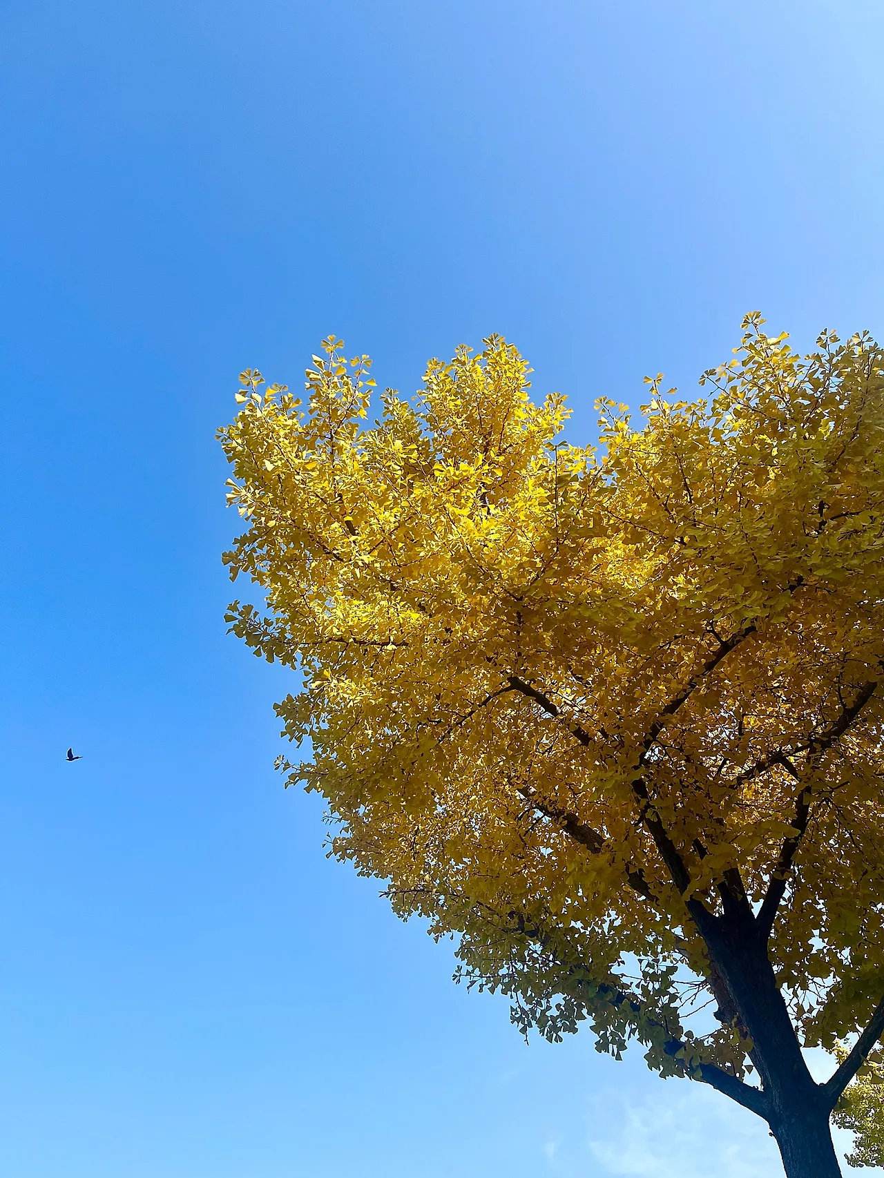 IMG%EF%BC%BF4786.jpg?type=w1600