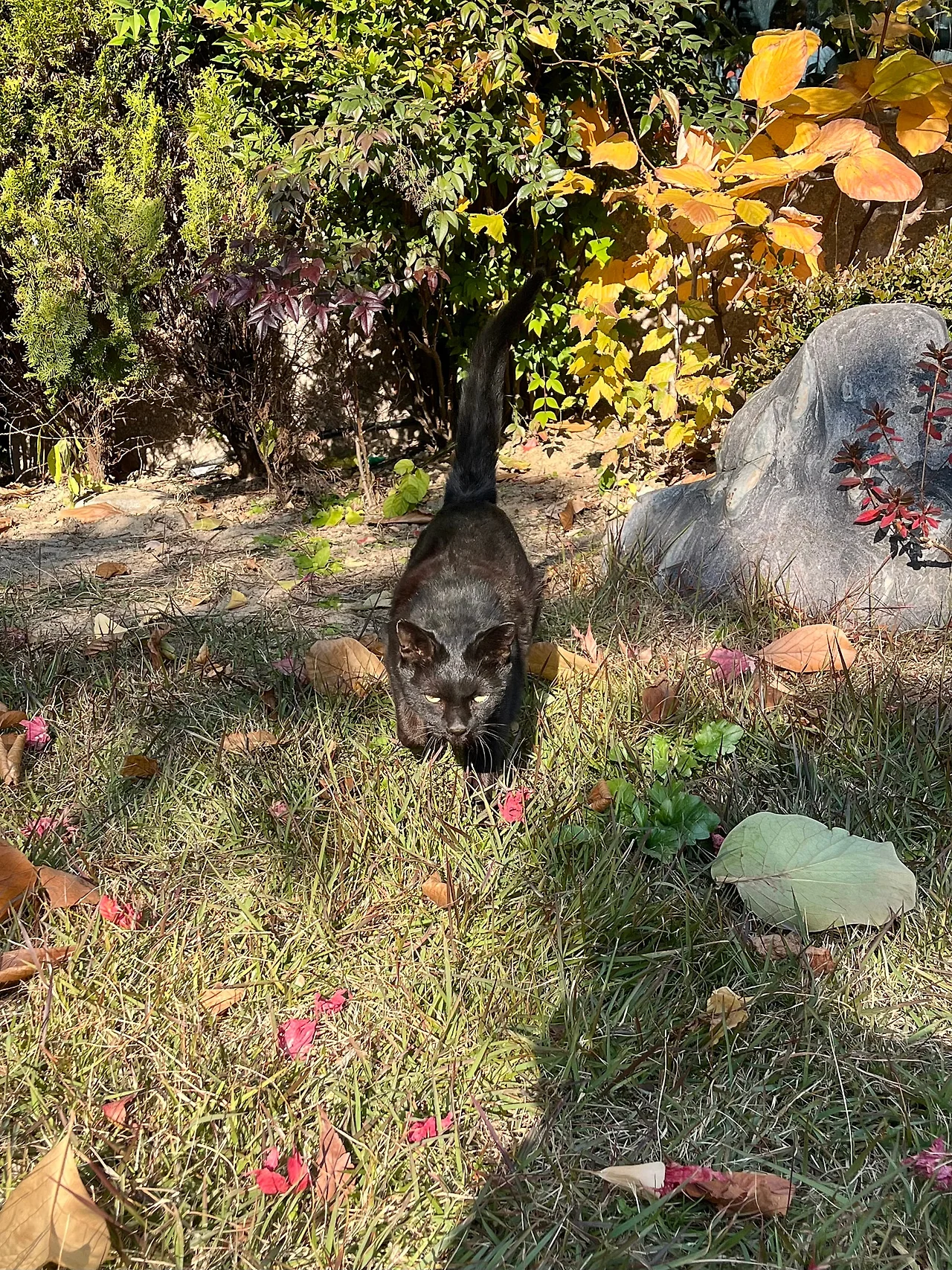 IMG%EF%BC%BF5697.jpg?type=w1600