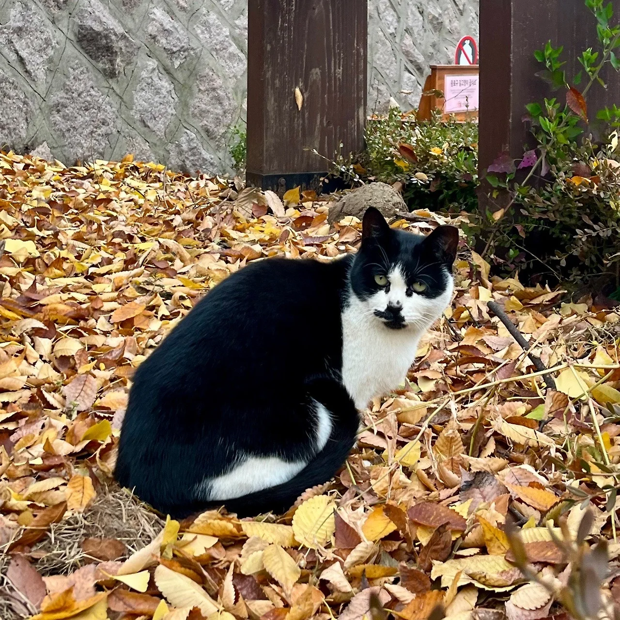 output%EF%BC%BF253032775.jpg?type=w1600