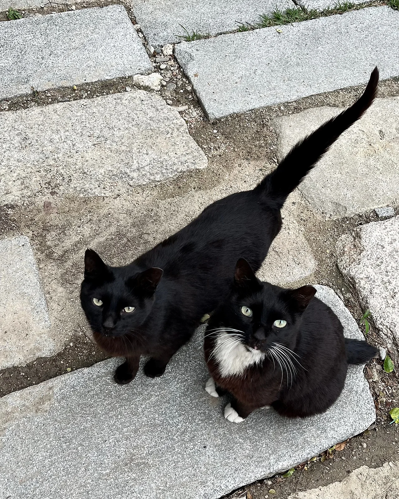 IMG%EF%BC%BF4634.jpg?type=w1600