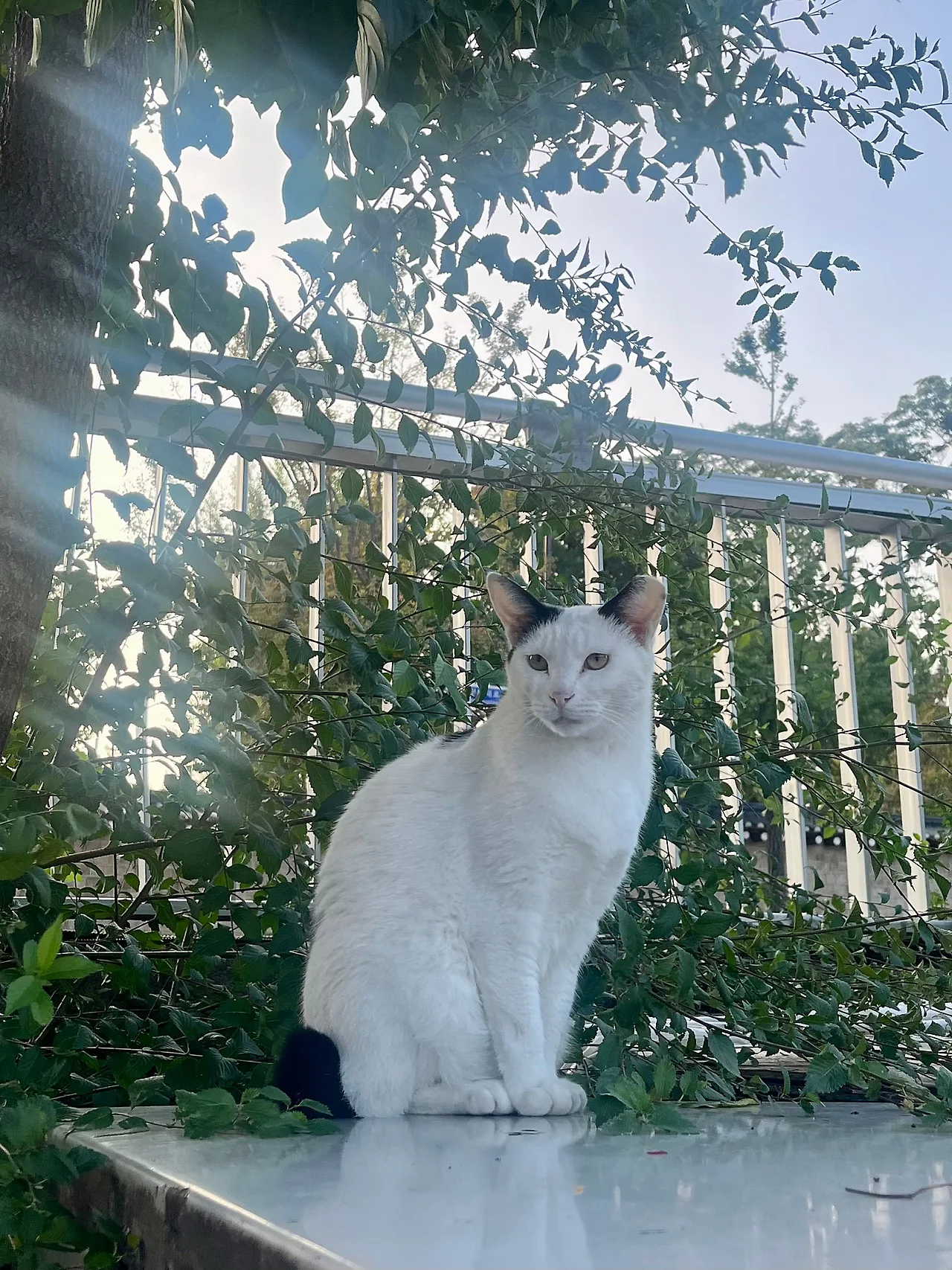 IMG%EF%BC%BF2329.jpg?type=w1600