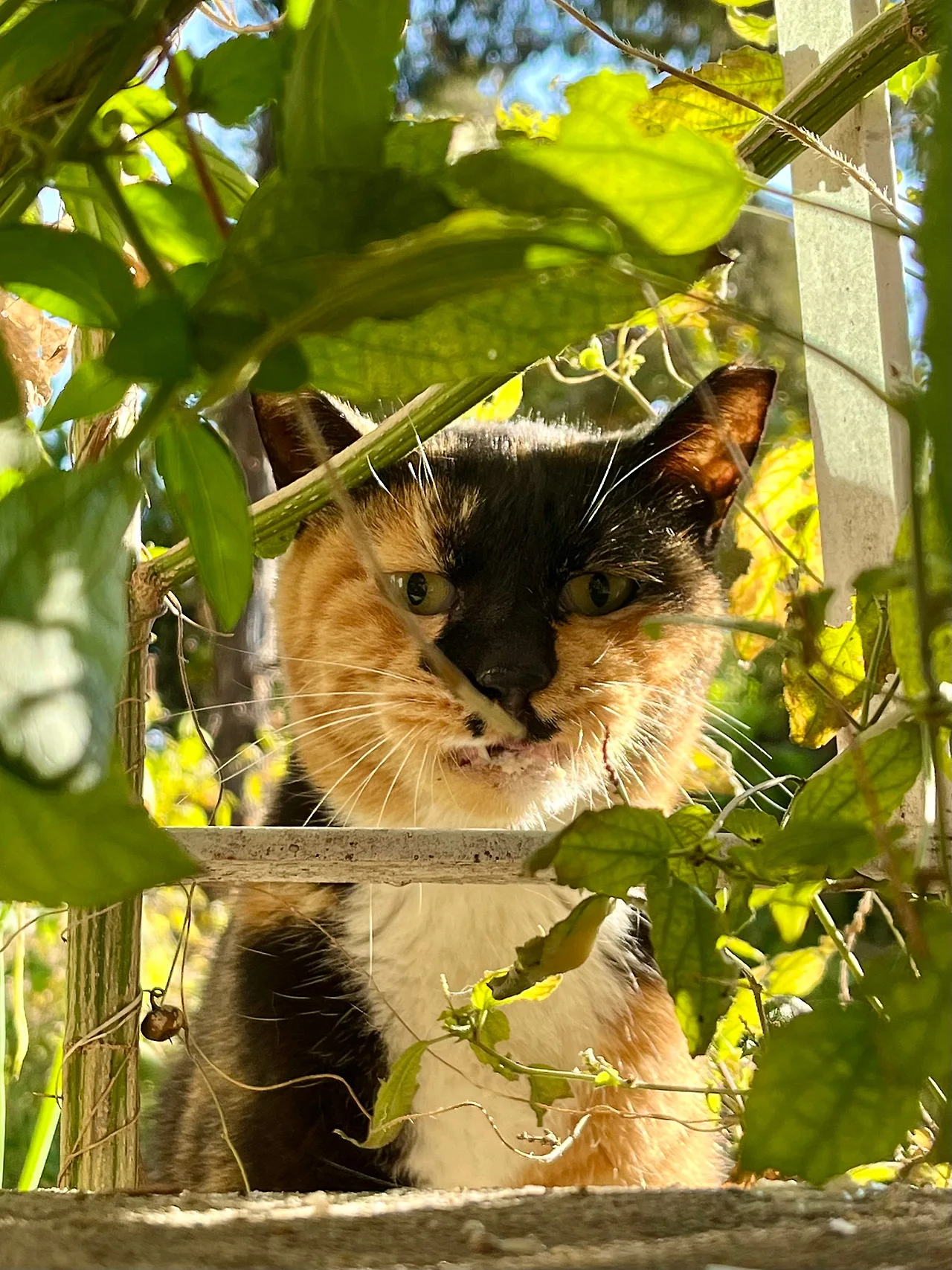 IMG%EF%BC%BF5659.jpg?type=w1600