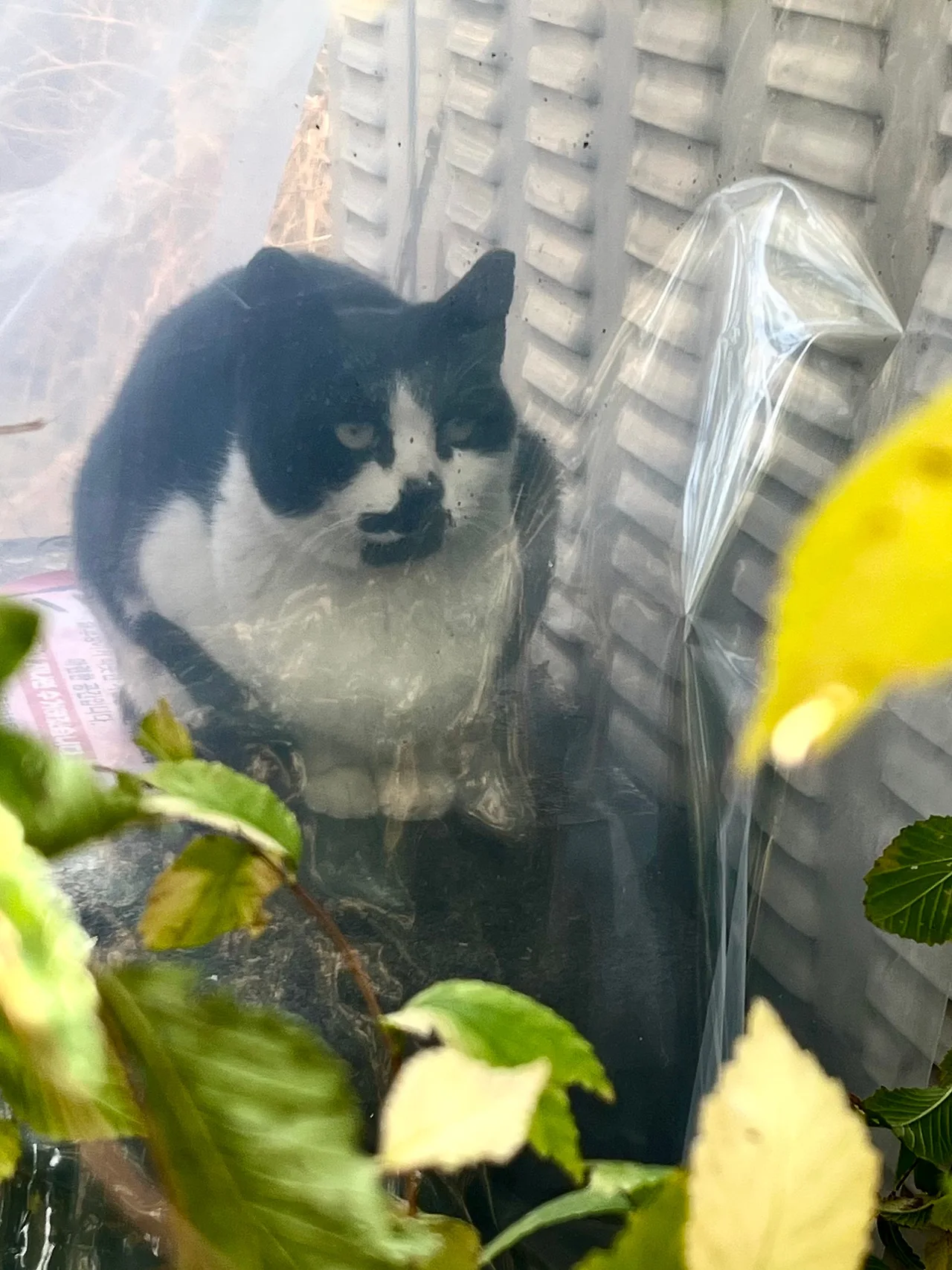 IMG%EF%BC%BF5587.jpg?type=w1600