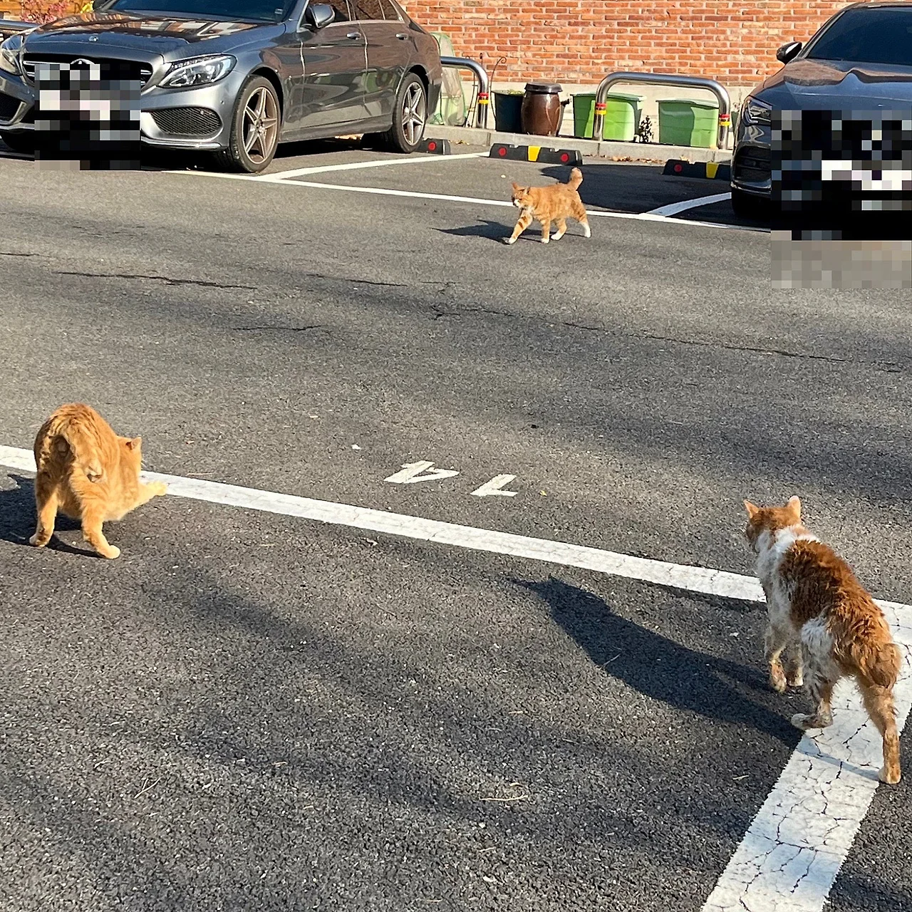 output%EF%BC%BF2361075770.jpg?type=w1600