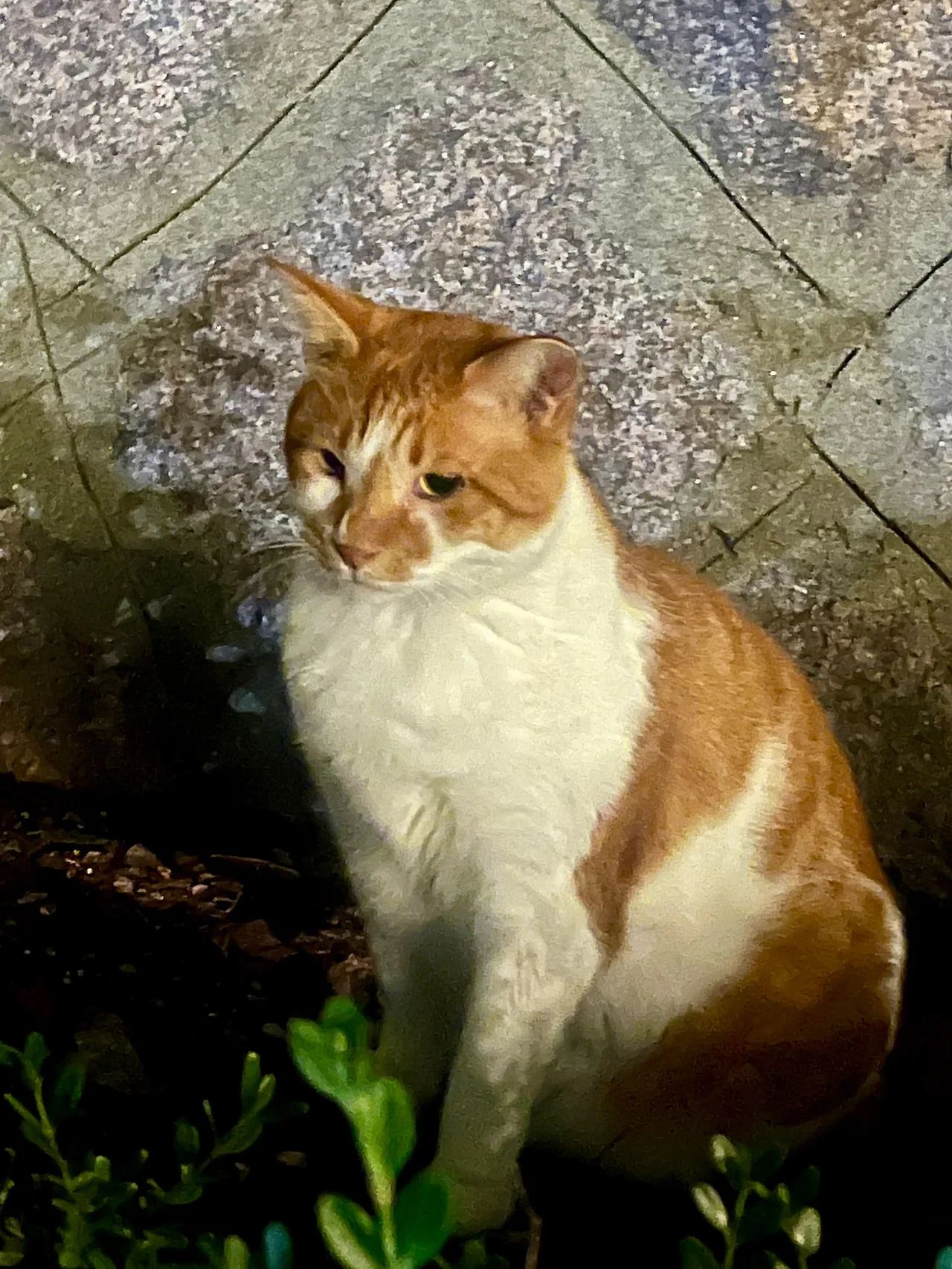 IMG%EF%BC%BF1417.jpg?type=w1600