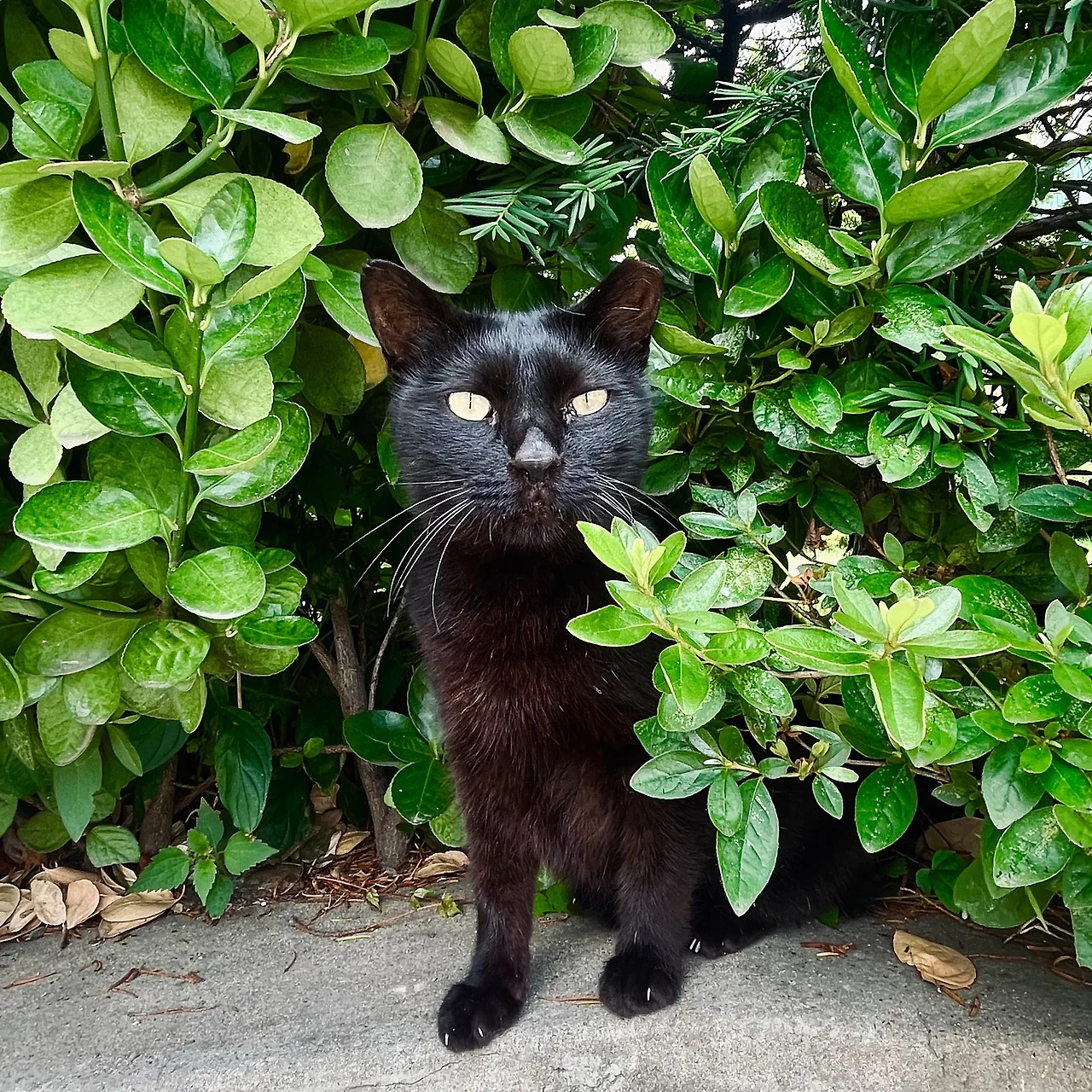 IMG%EF%BC%BF7175.jpg?type=w1600