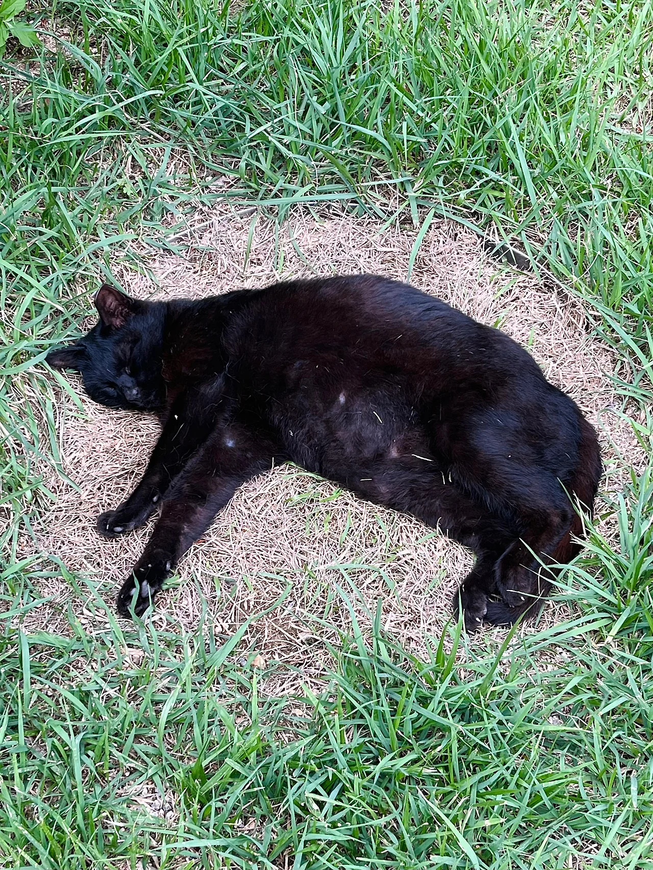 IMG%EF%BC%BF6709.jpg?type=w1600