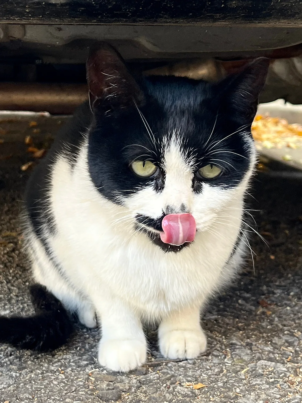 IMG%EF%BC%BF4184.jpg?type=w1600