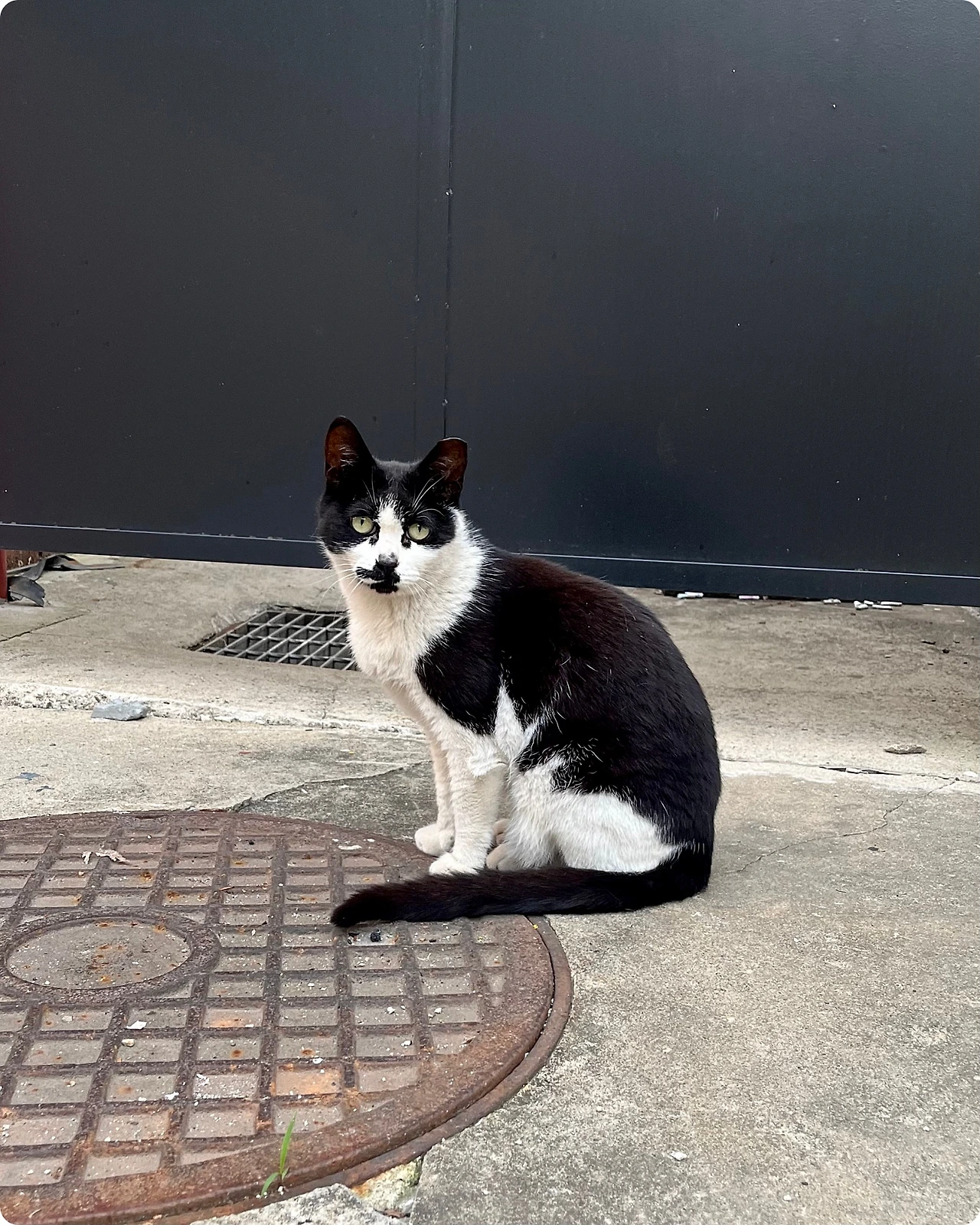 IMG_4593.jpg?type=w1600