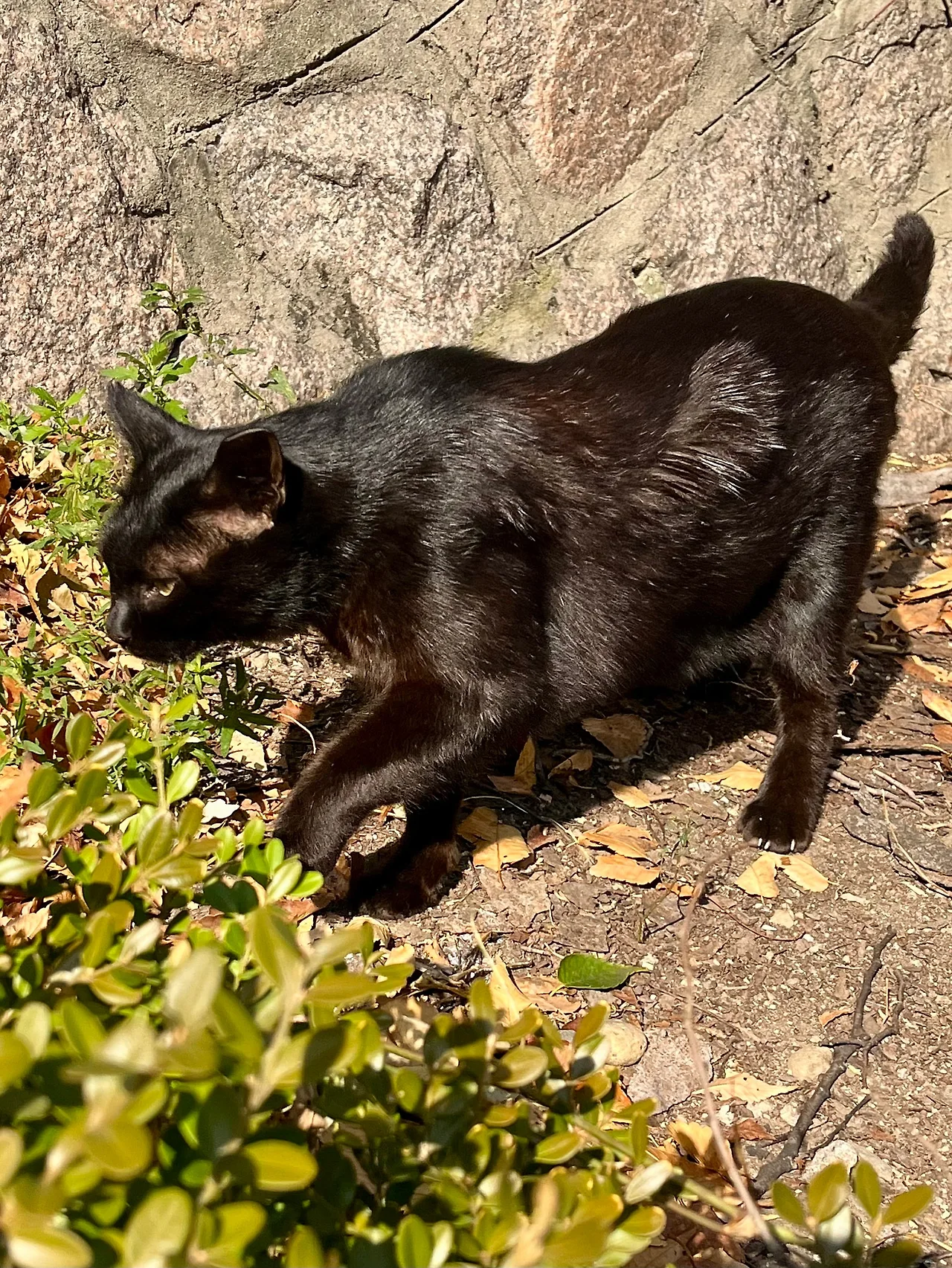 IMG%EF%BC%BF4539.jpg?type=w1600