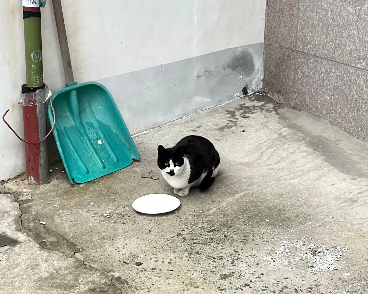 IMG%EF%BC%BF4311.jpg?type=w1600