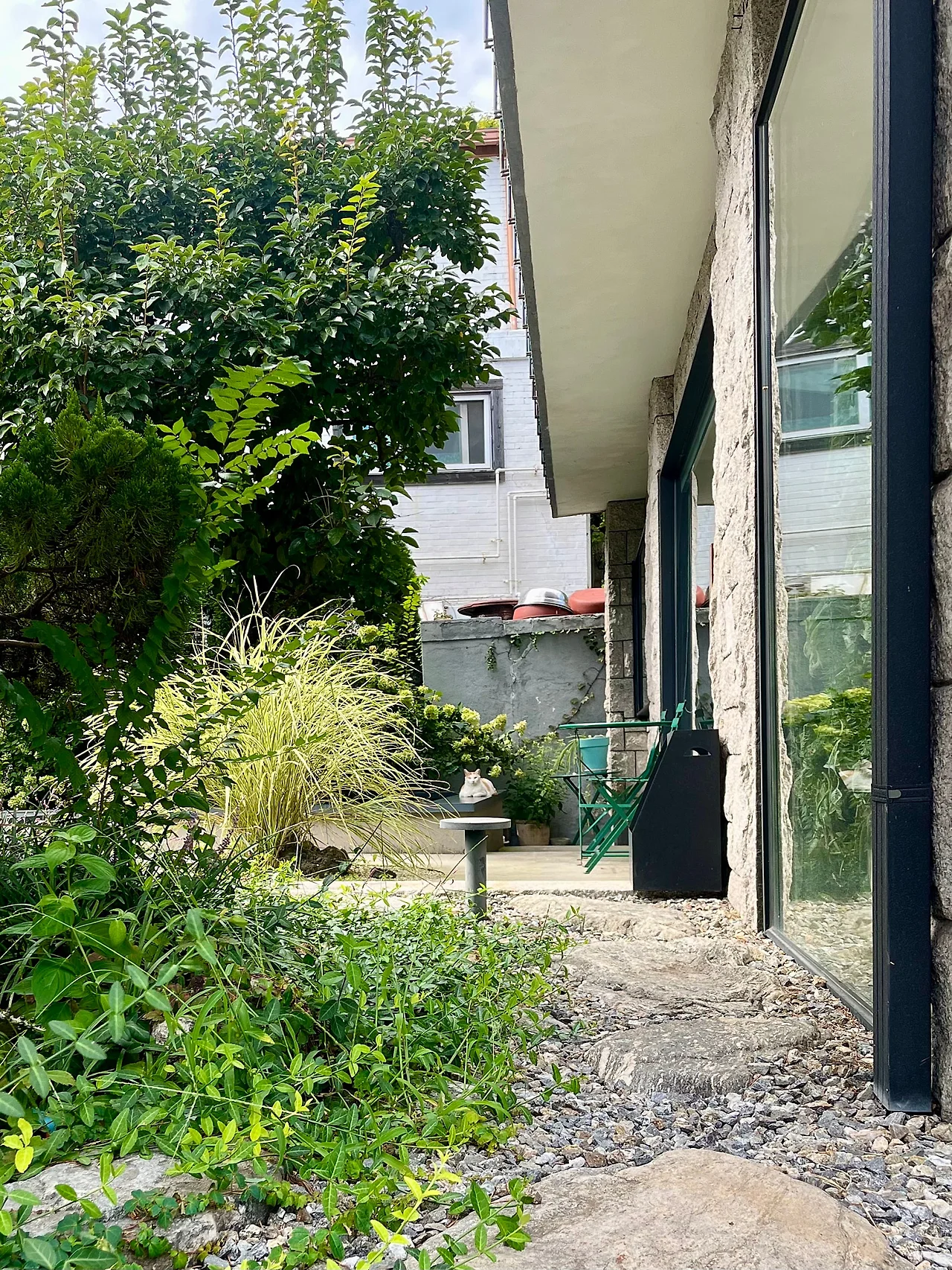 IMG%EF%BC%BF1906.jpg?type=w1600