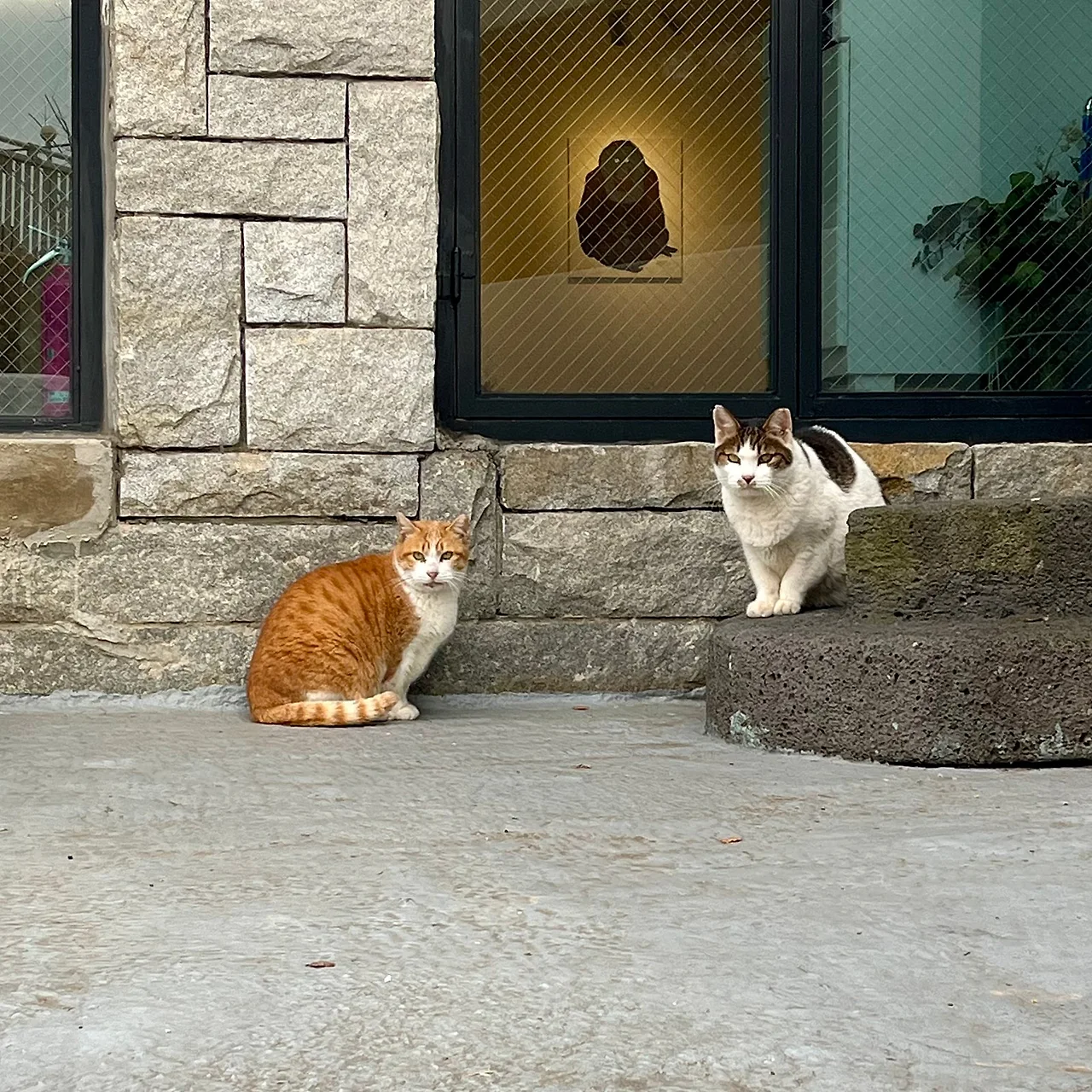 IMG%EF%BC%BF9714.jpg?type=w1600