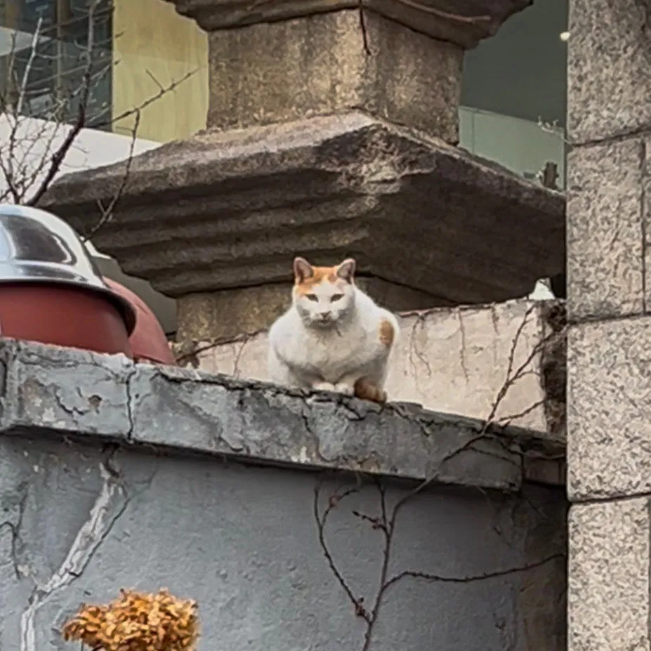 IMG%EF%BC%BF9294.jpg?type=w1600