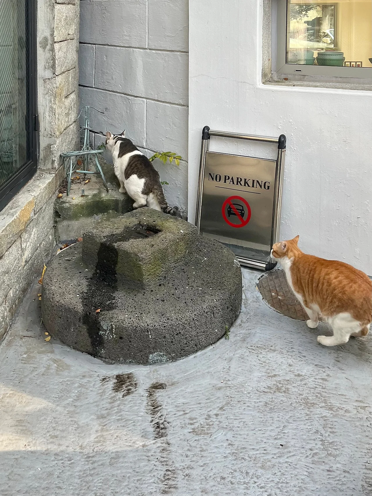 IMG%EF%BC%BF4160.jpg?type=w1600